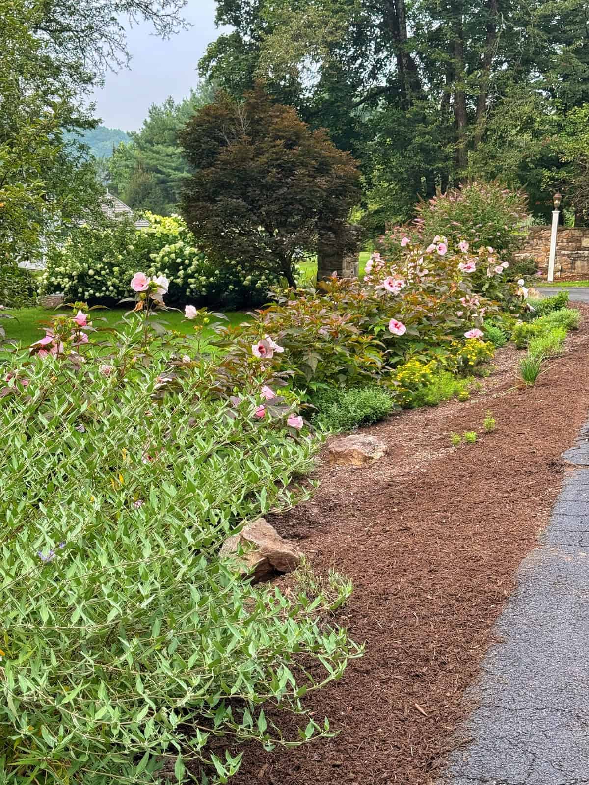 A landscaped garden bed next to a paved path features blooming pink flowers, green shrubs, and mulched soil, with trees and more greenery in the background on a cloudy day.