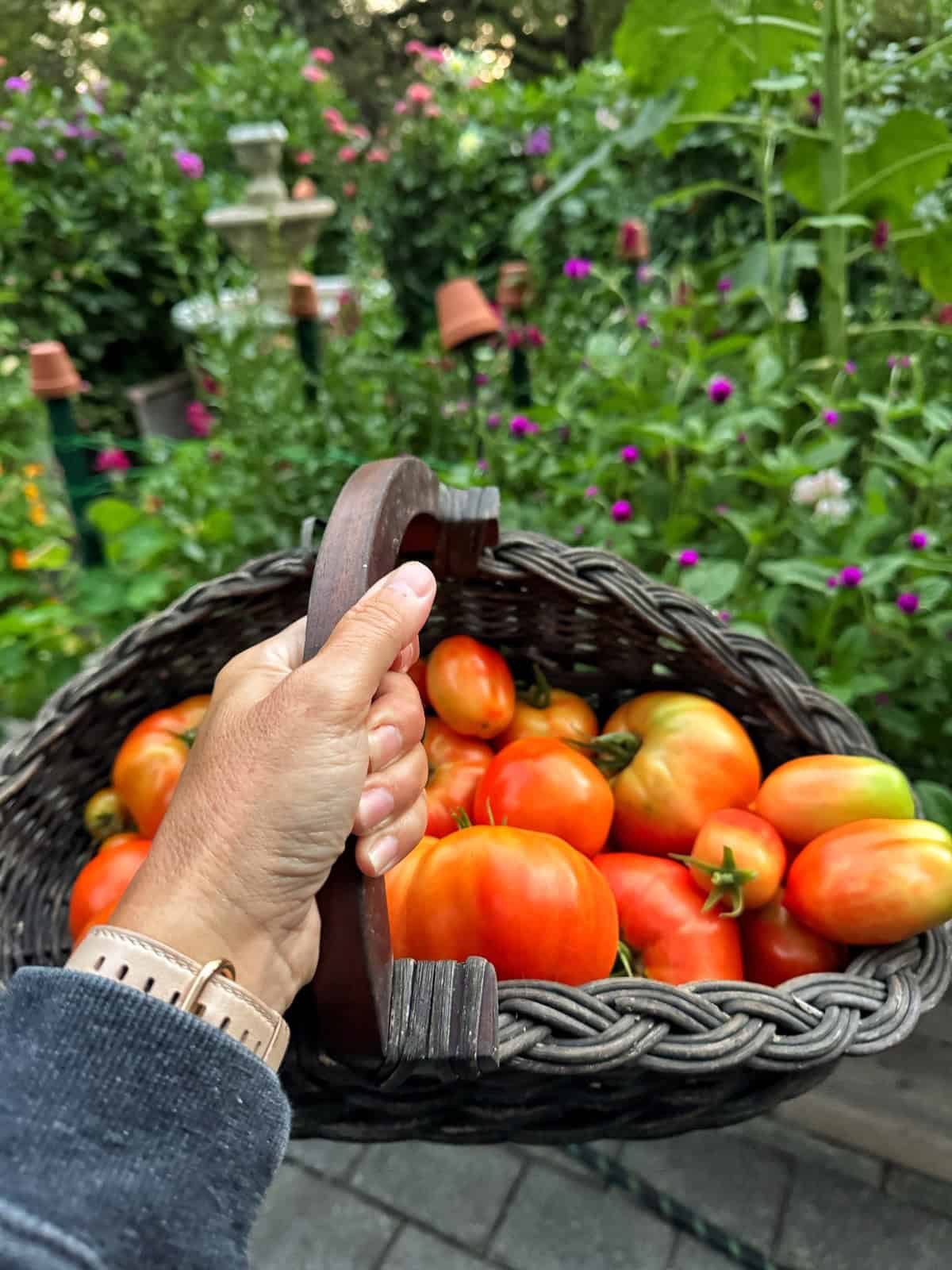 A hand holding a wicker basket filled with ripe tomatoes in a lush garden with colorful flowers and greenery in the background.