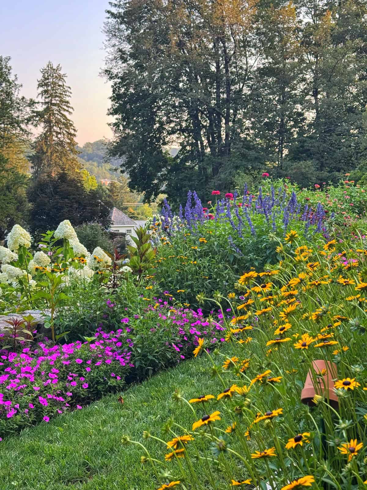A lush garden with vibrant yellow, purple, pink, and white flowers, green grass, and tall trees in the background on a sunny day. A wooden bench is partially visible in the foreground.