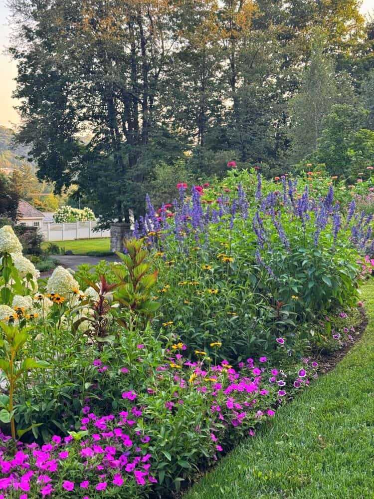 A colorful garden with rows of blooming flowers, including purple, pink, yellow, and white varieties, bordered by green grass and backed by tall trees under a clear sky.