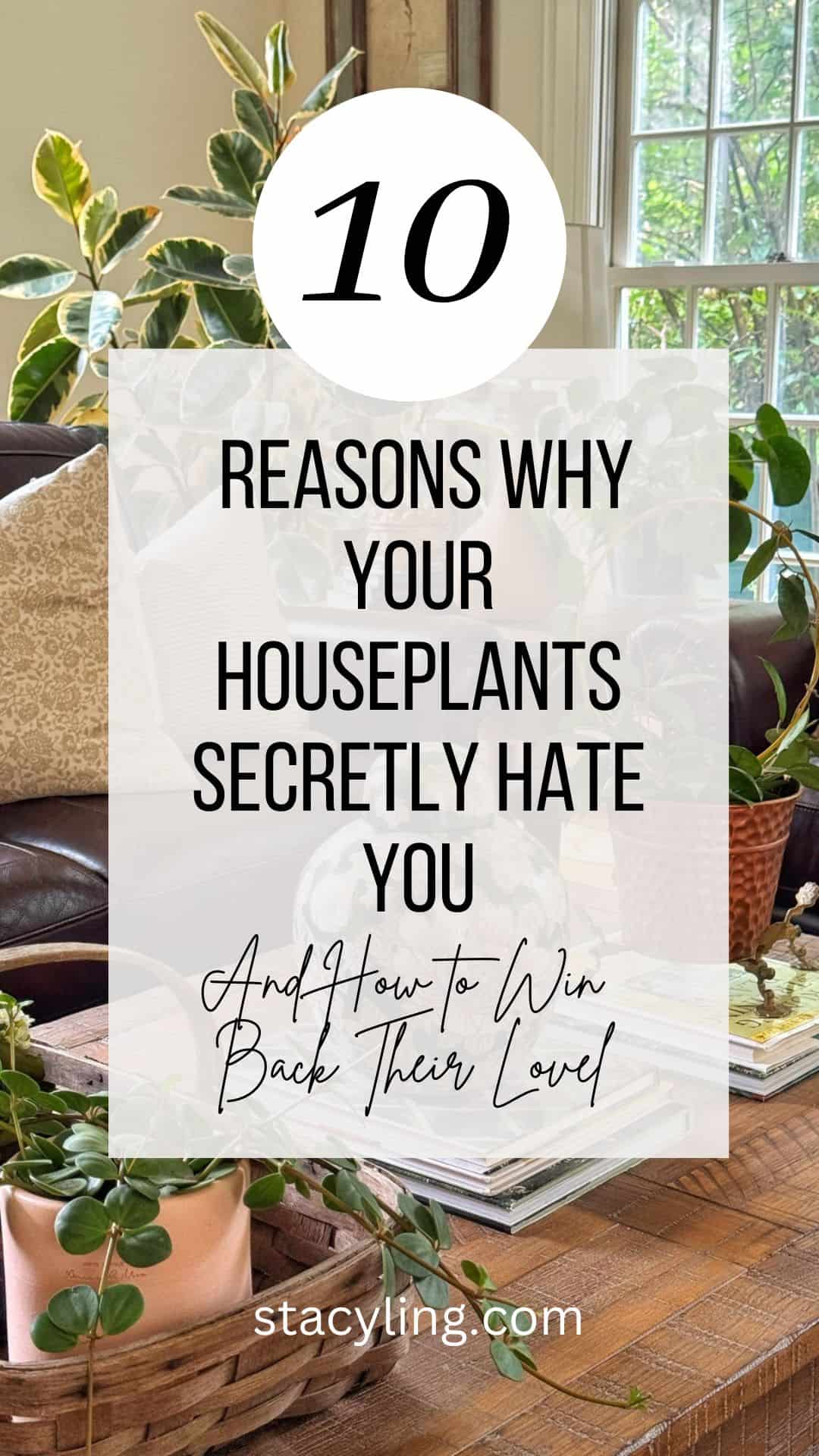 A cozy living room with various houseplants on tables and shelves. A sign in the center reads: “10 Reasons Why Your Houseplants Secretly Hate You And How to Win Back Their Love.” Sunlight streams through a window.