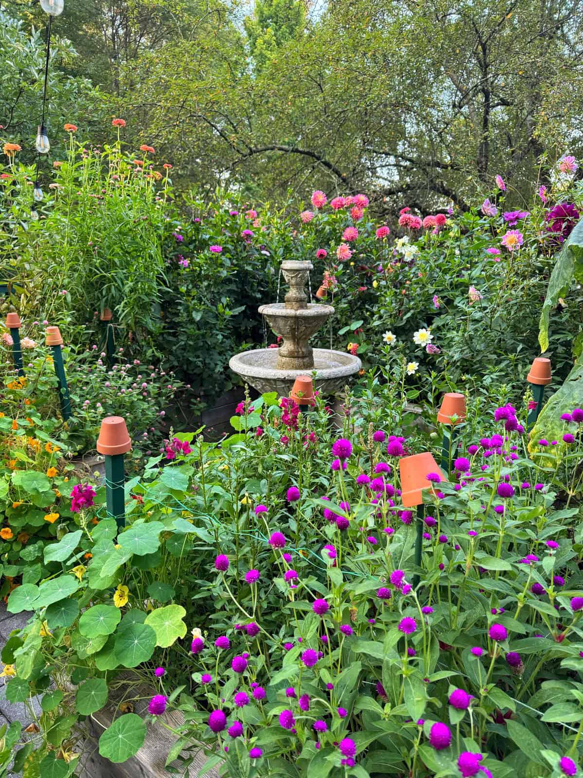 A lush garden with blooming flowers in various colors surrounds a stone fountain at the center. Green foliage and vibrant pink, orange, and white blossoms fill the scene, with terracotta pots placed on green stakes.