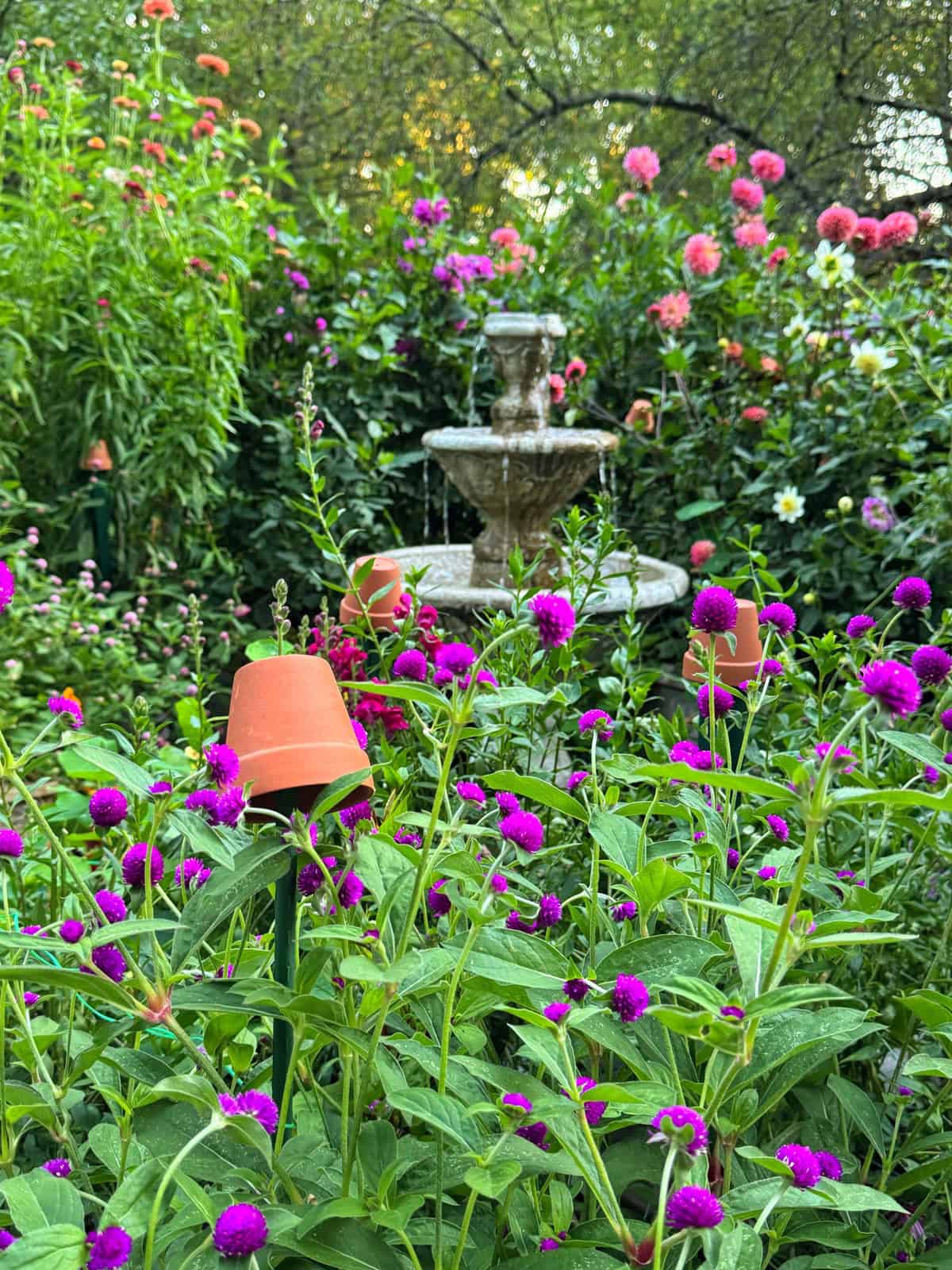 A lush garden with vibrant purple flowers, terracotta pots on stakes, and a stone fountain in the center, surrounded by green foliage and blooming pink flowers.