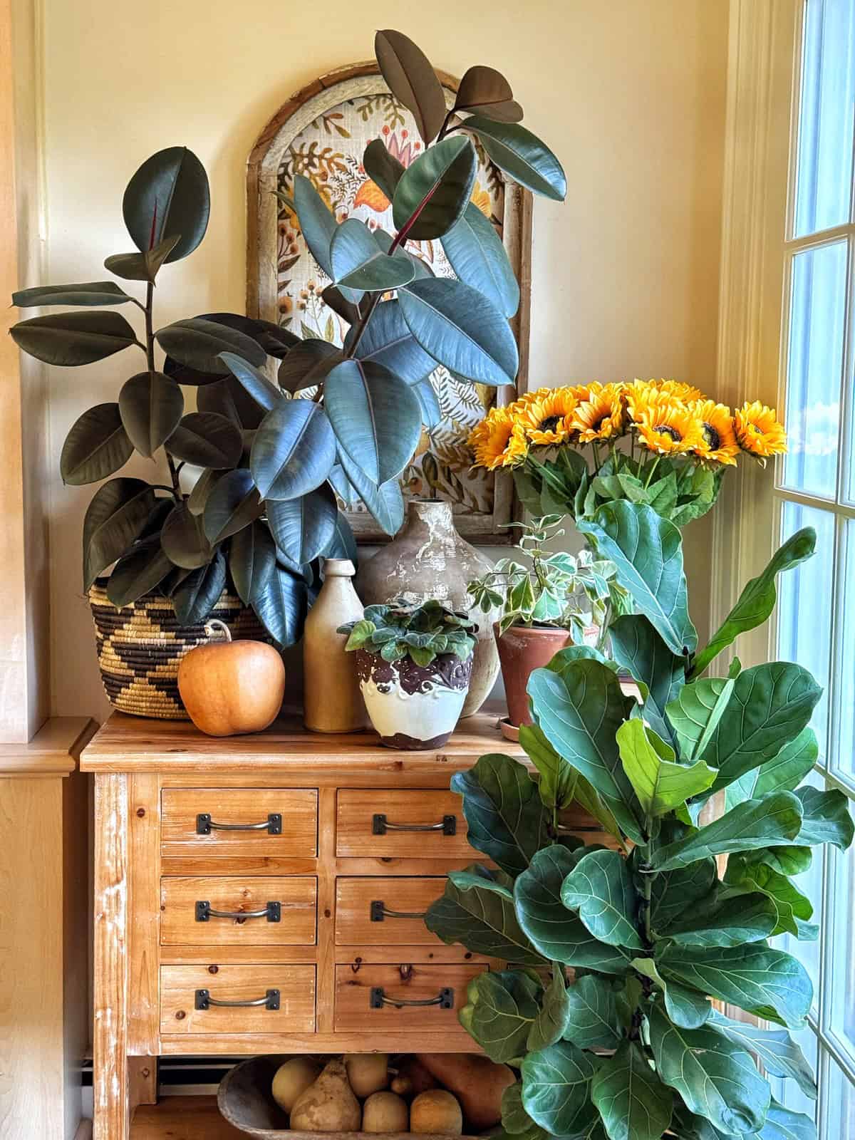 A wooden cabinet topped with potted houseplants, a vase of sunflowers, an apple, and decorative items. A bowl of potatoes sits in the cabinet’s open shelf, with sunlight streaming through a window nearby.