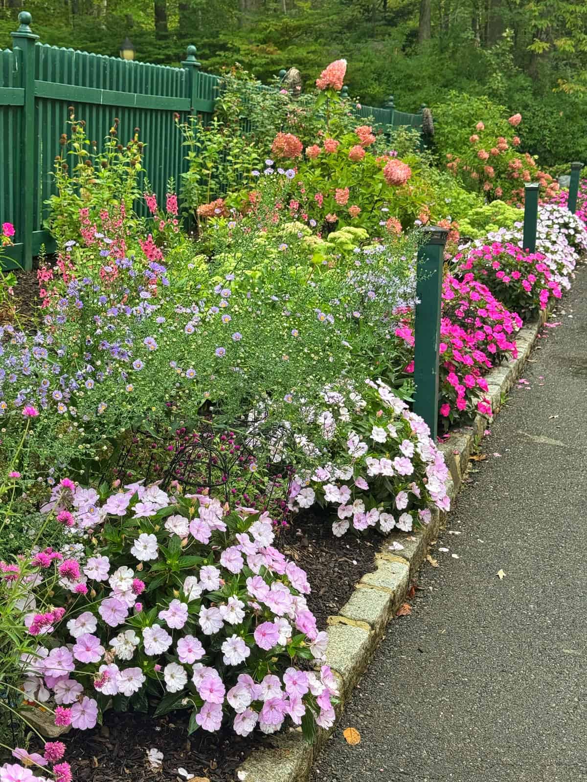A garden bed along a paved path features lush clusters of blooming flowers in pink, purple, and white, bordered by green fencing and surrounded by trees and greenery in the background.