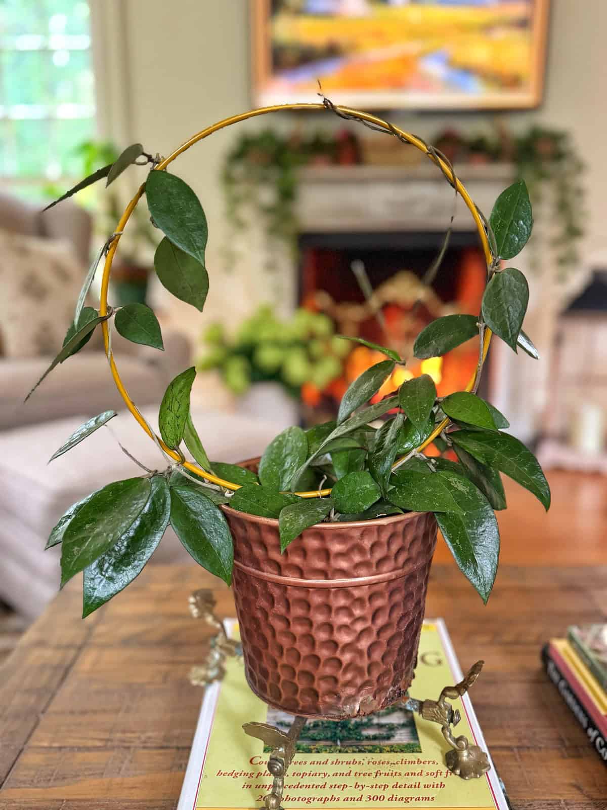 A leafy vine grows in a circular trellis within a textured copper-colored pot, placed on a book atop a wooden table in a cozy, softly lit living room with a fireplace and sofa in the background.