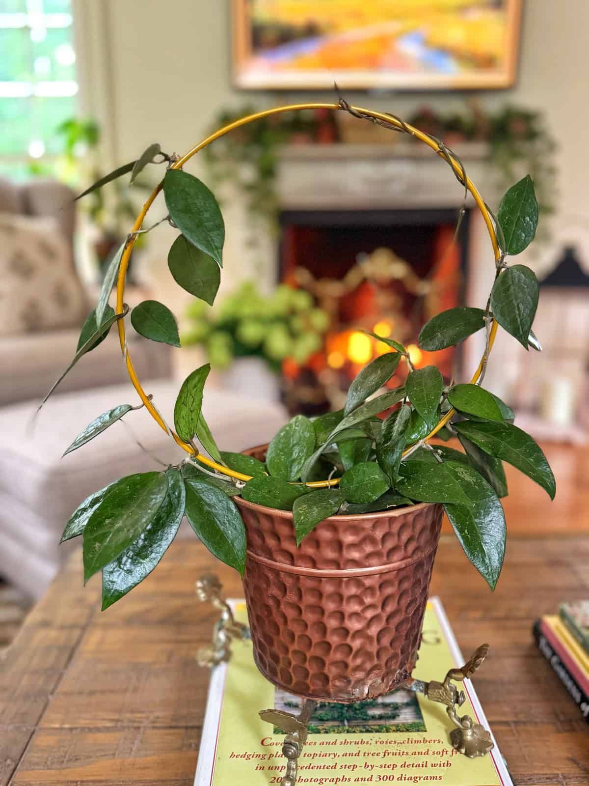 A leafy green plant growing in a textured copper pot with a yellow circular trellis sits on a coffee table. A cozy room with a fireplace, armchair, and artwork is visible in the background.