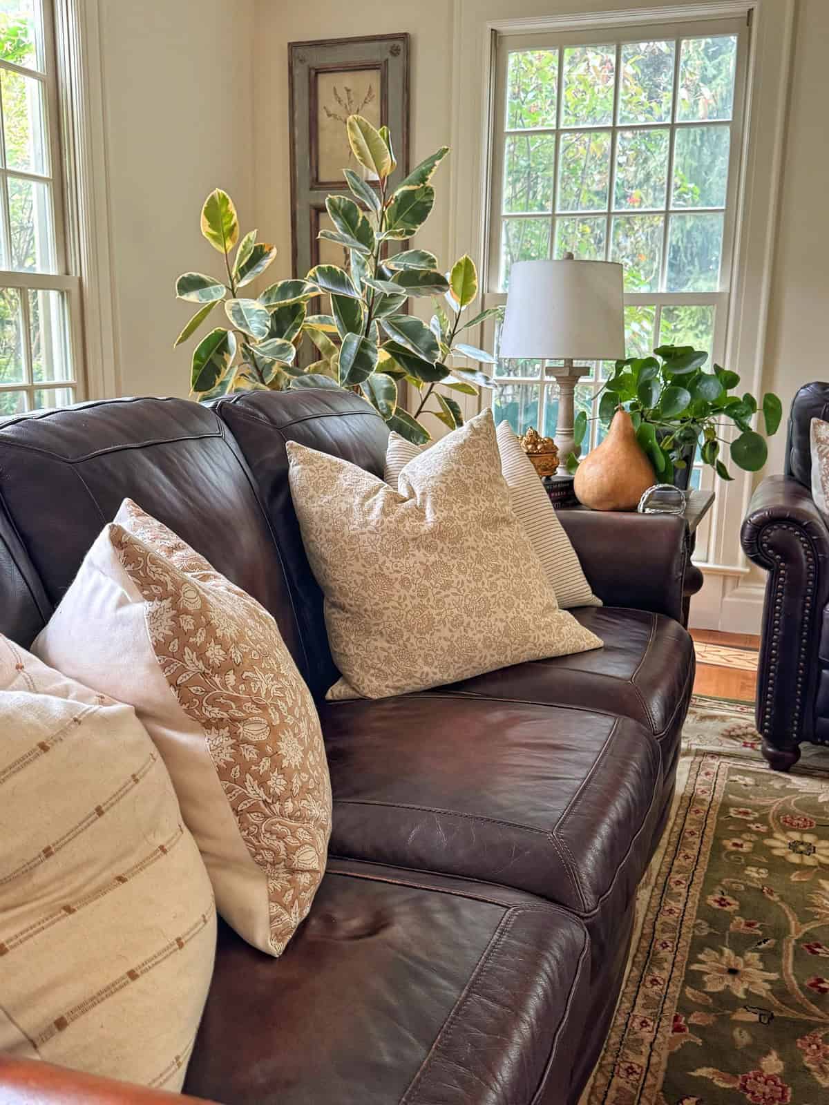 A cozy living room with a dark brown leather sofa, decorative pillows, lush green plants, a side table with a lamp, and large windows letting in natural light.