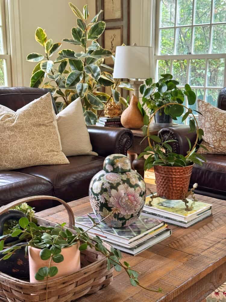 A cozy living room with leather sofas, patterned pillows, potted plants on a wooden coffee table, a floral ceramic vase, and sunlight streaming through large windows in the background.