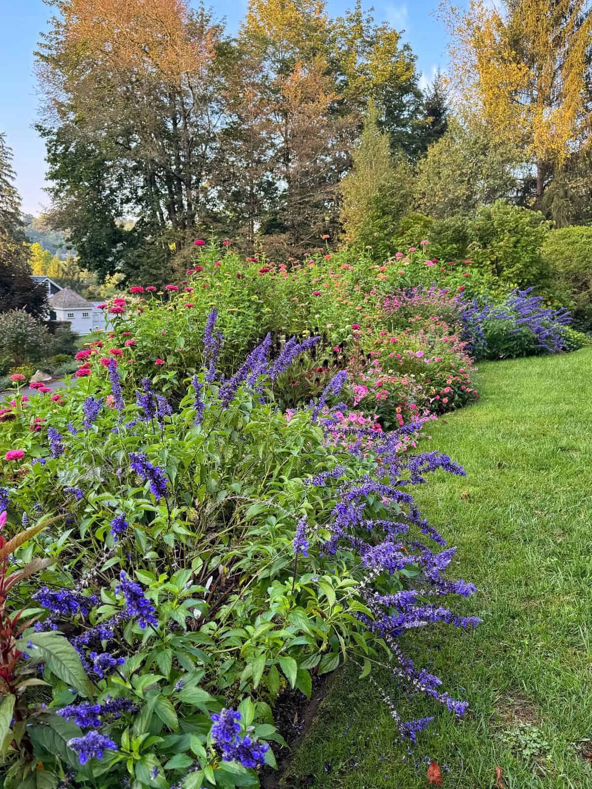 Colorful flowerbeds with purple, pink, and red blossoms line the edge of a green lawn, surrounded by lush trees with green and golden autumn leaves under a blue sky.