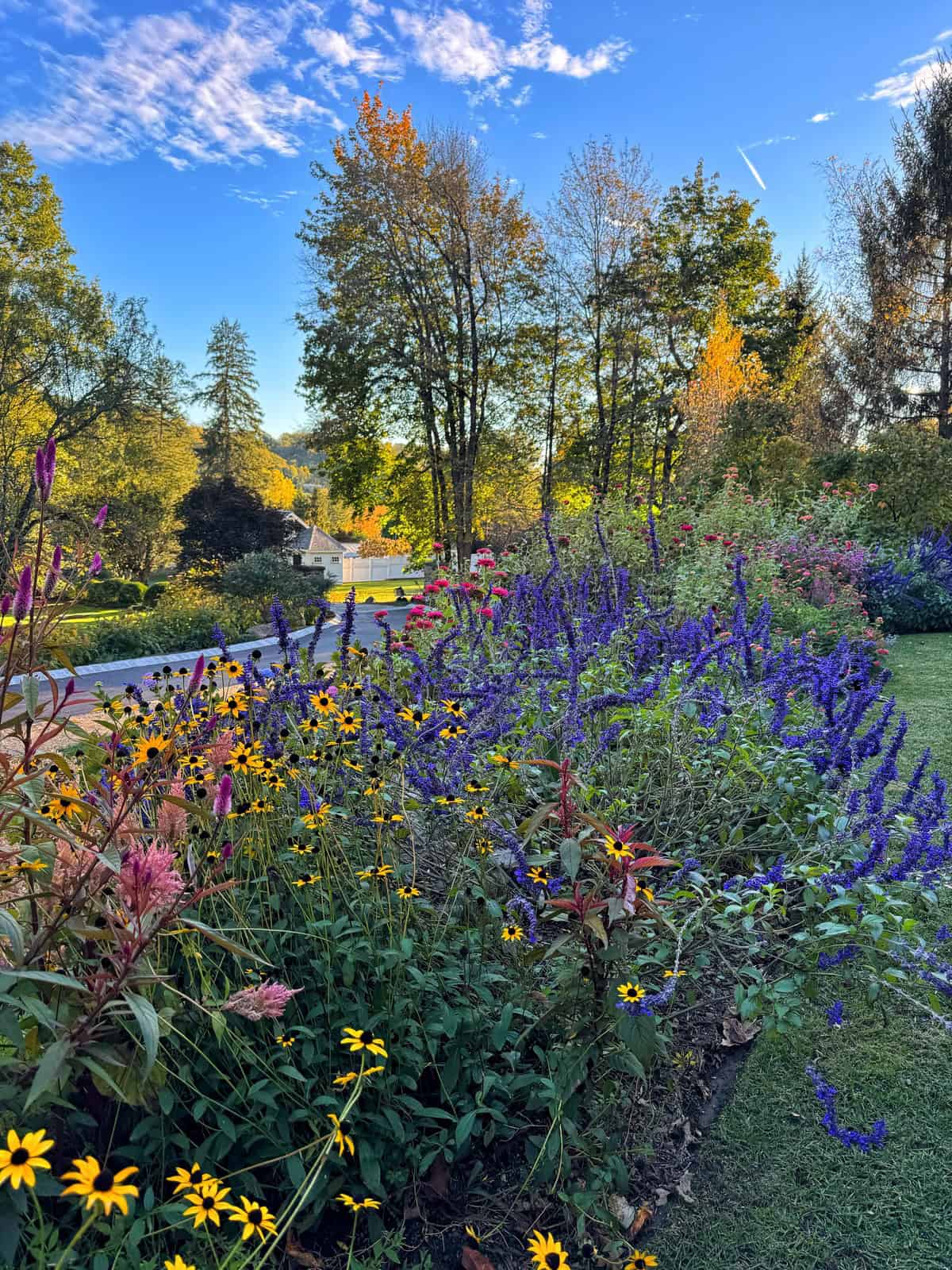 A vibrant flower garden featuring yellow, purple, and pink blooms beside a paved path, with green grass, tall trees, and a blue sky with scattered clouds in the background.