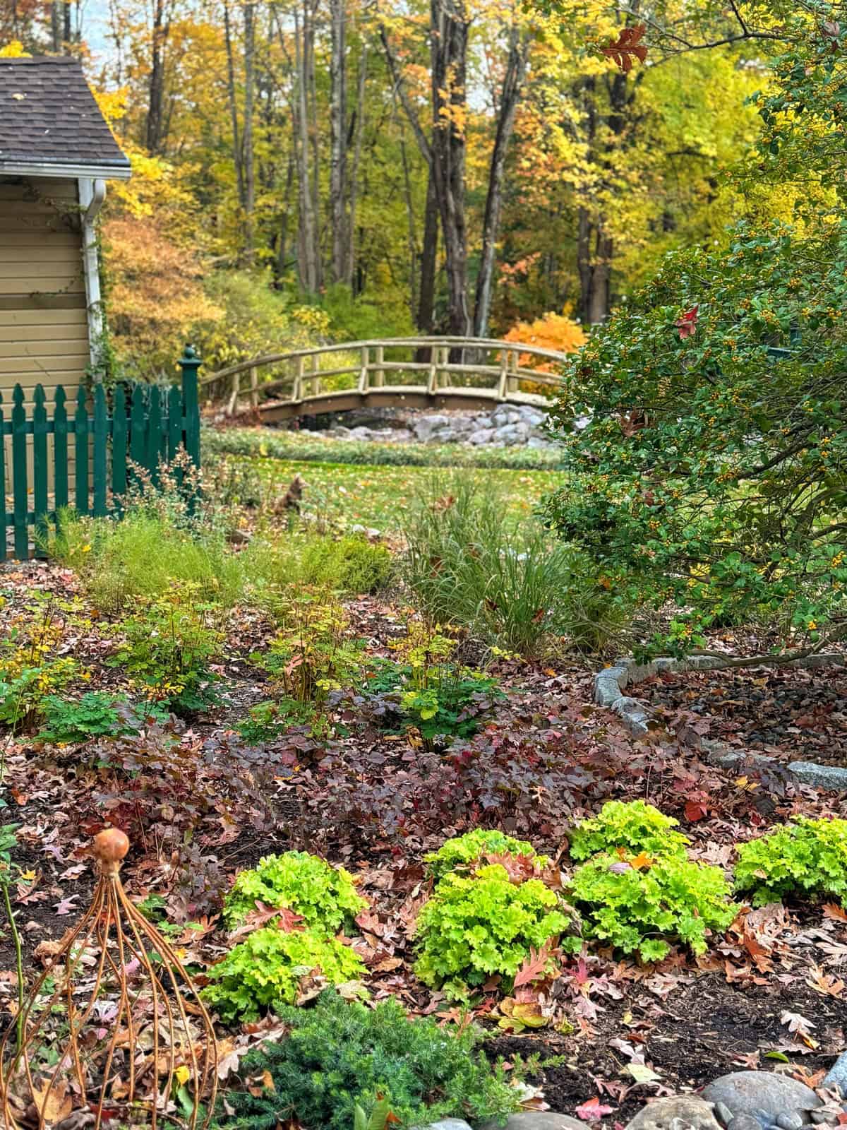 A garden with green plants and fallen autumn leaves is in the foreground. A small wooden bridge crosses a creek in the background, surrounded by colorful fall trees under a partly cloudy sky.