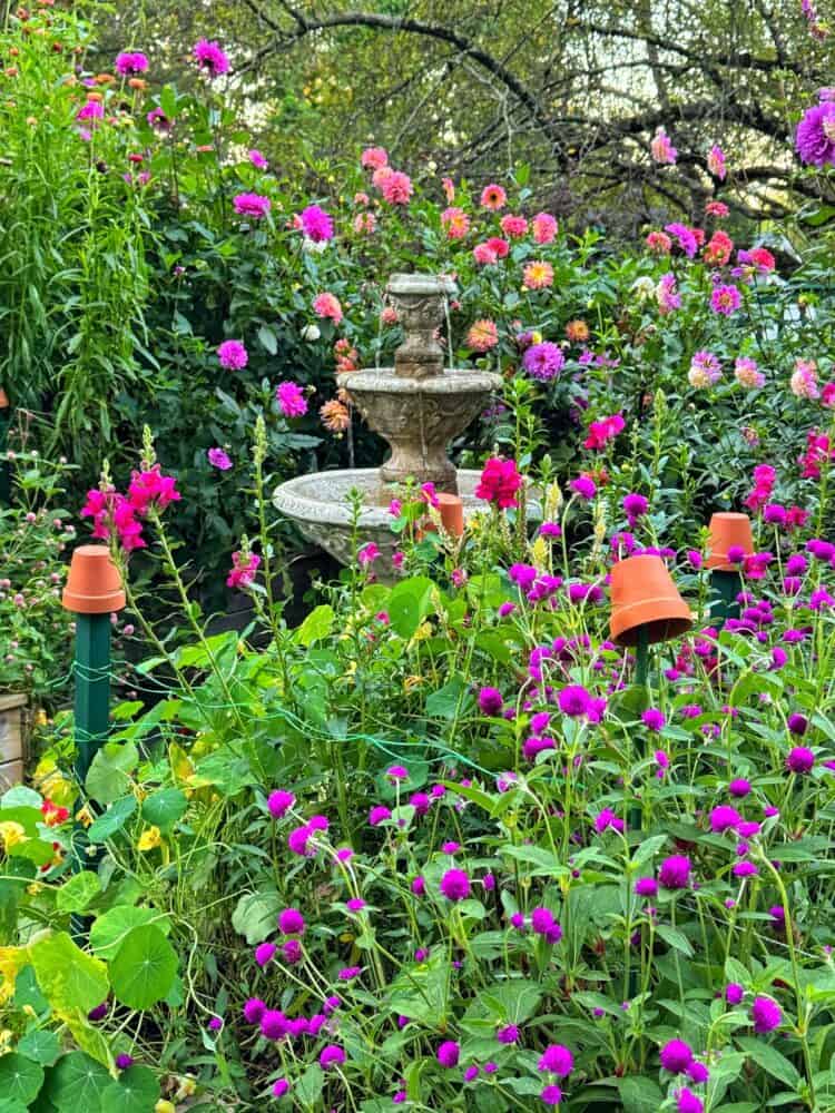 A stone fountain is surrounded by lush greenery and vibrant pink, purple, and orange flowers in a colorful garden. Small clay pots are placed upside down on stakes among the plants.