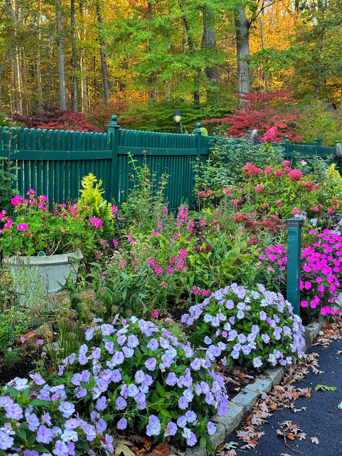 A colorful garden with blooming pink, purple, and yellow flowers is bordered by a green fence. Trees with autumn foliage in shades of green, yellow, and orange are in the background. Fallen leaves are scattered on the ground.