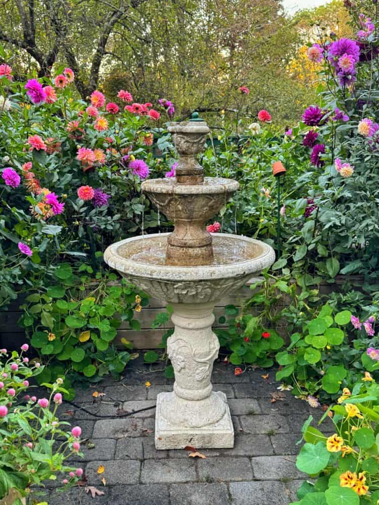 A stone tiered fountain stands in the center of a cut flower garden, surrounded by blooming pink and purple dahlia flowers and green foliage, with trees and a brick pathway in the background.