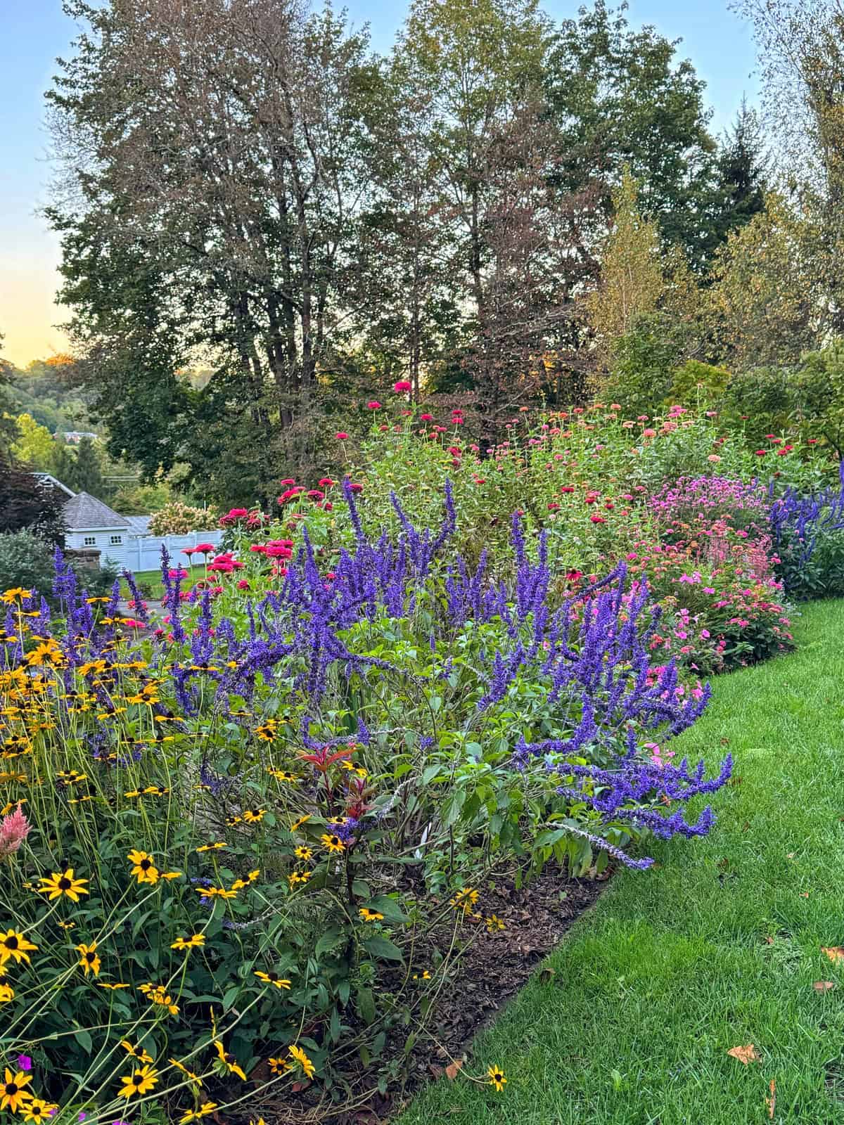 A colorful garden with blooming yellow, purple, and pink flowers, lush green grass, and tall trees in the background. A small white house with a gray roof is visible to the left. The sky is clear with soft evening light.