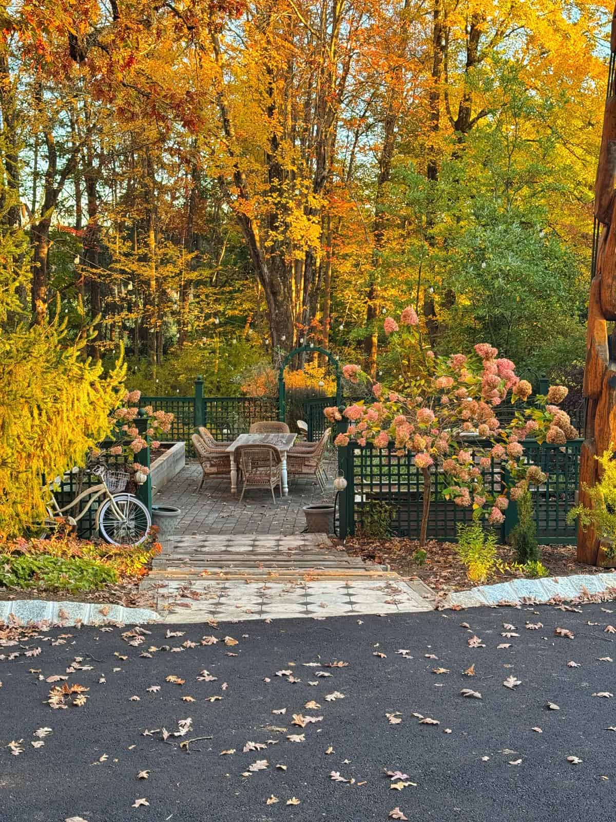 A patio with a table and chairs is surrounded by autumn trees and blooming shrubs. A bicycle leans against a fence, and fallen leaves cover the pavement and ground. The scene is bright with fall colors.