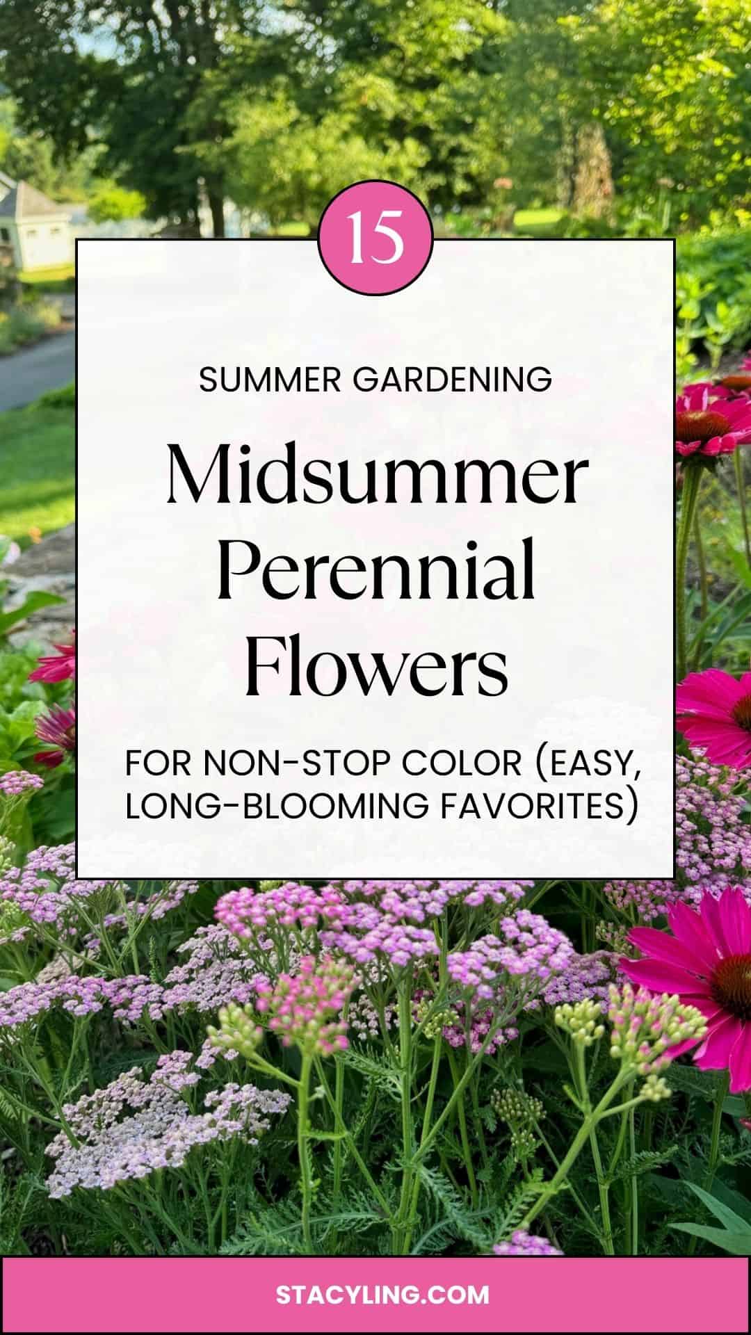 A garden bed with vibrant pink and purple midsummer perennial flowers in bloom, surrounded by green foliage. Text overlay reads, "Midsummer Perennial Flowers for non-stop color (easy, long-blooming favorites).
