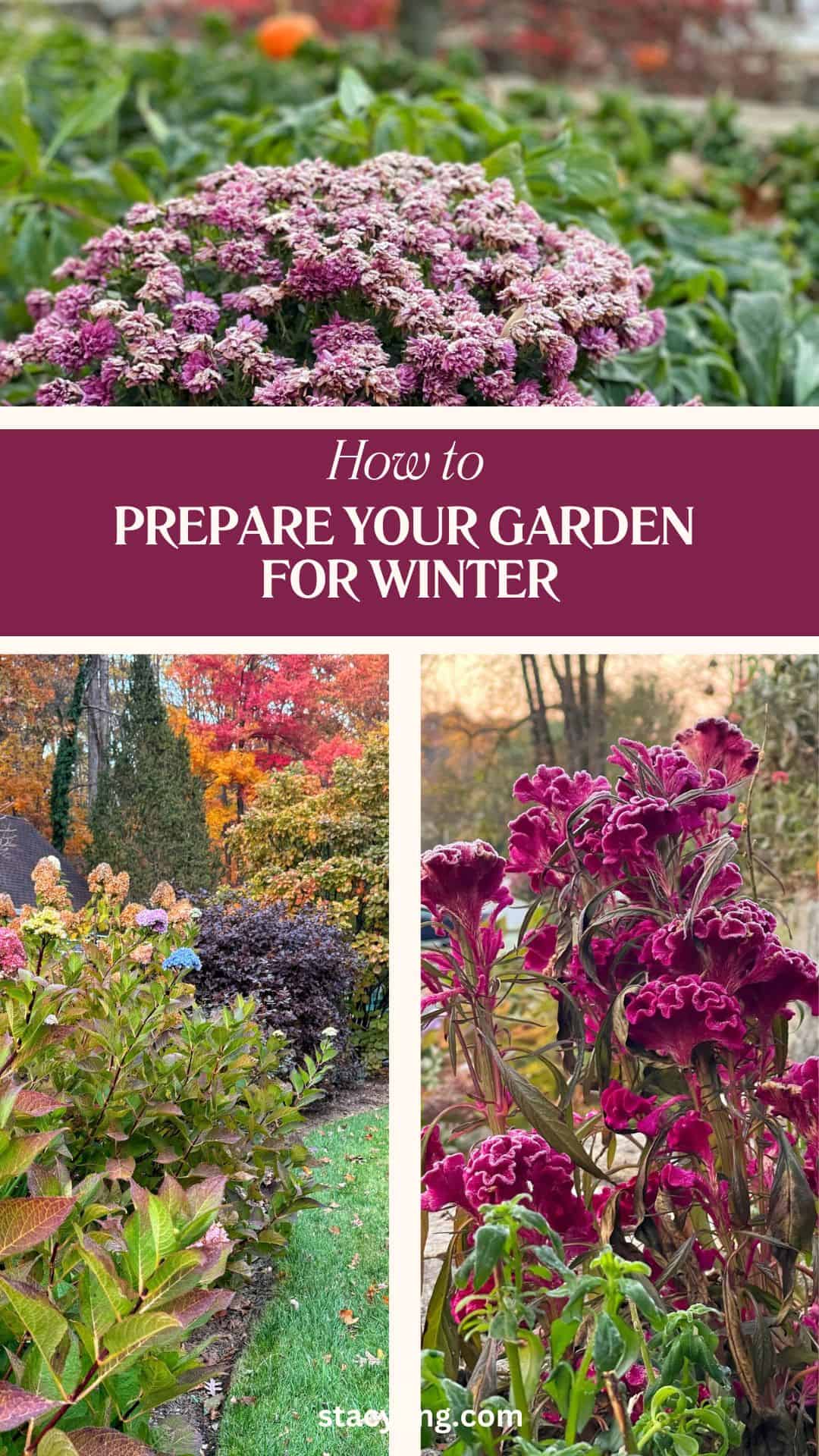 A collage of garden photos featuring purple and pink flowers, green foliage, and autumn trees, with the text "How to Prepare Your Garden for Winter" in a white font on a maroon background.