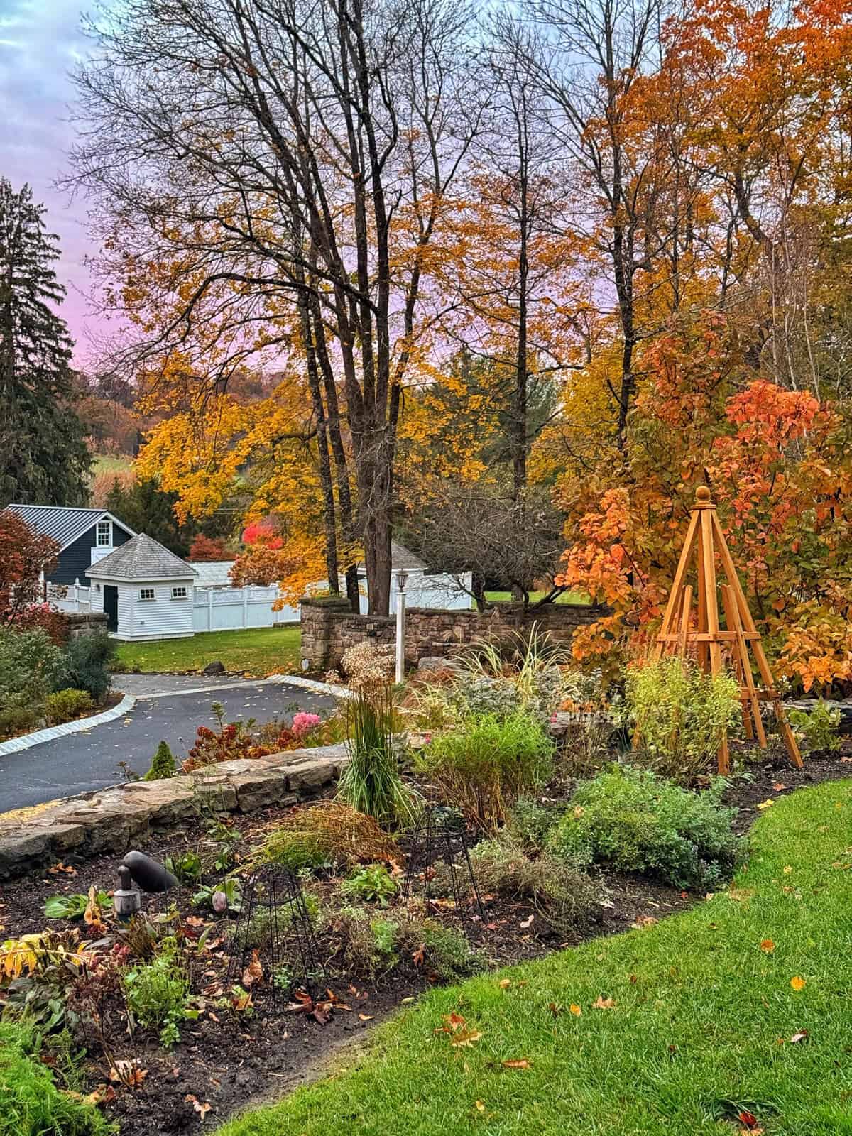 A garden with green and brown plants, a wooden trellis, and a stone wall, set against colorful autumn trees. A white house and driveway are in the background under a pinkish sky.