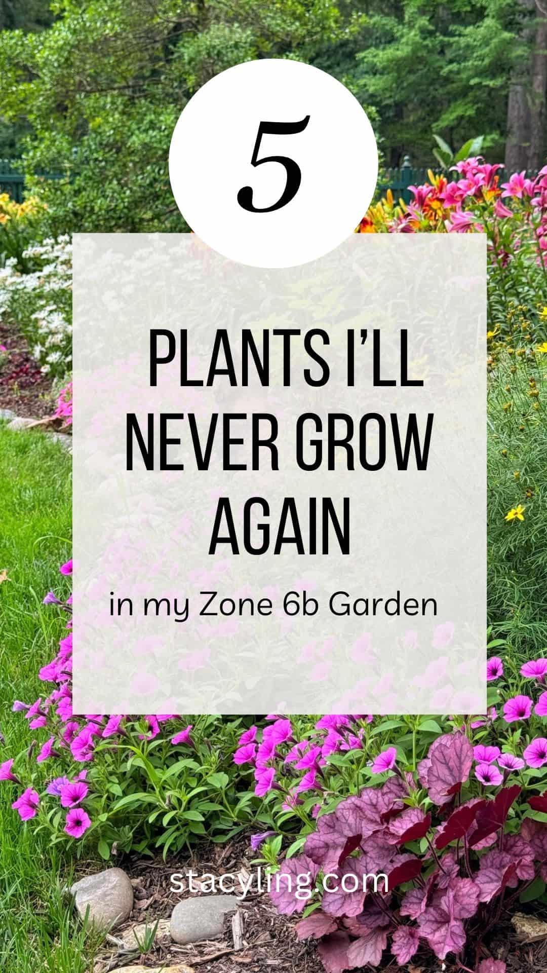 colorful cottage garden in zone 6b behind text that says 5 plants I'll never grow again in my zone 6b garden