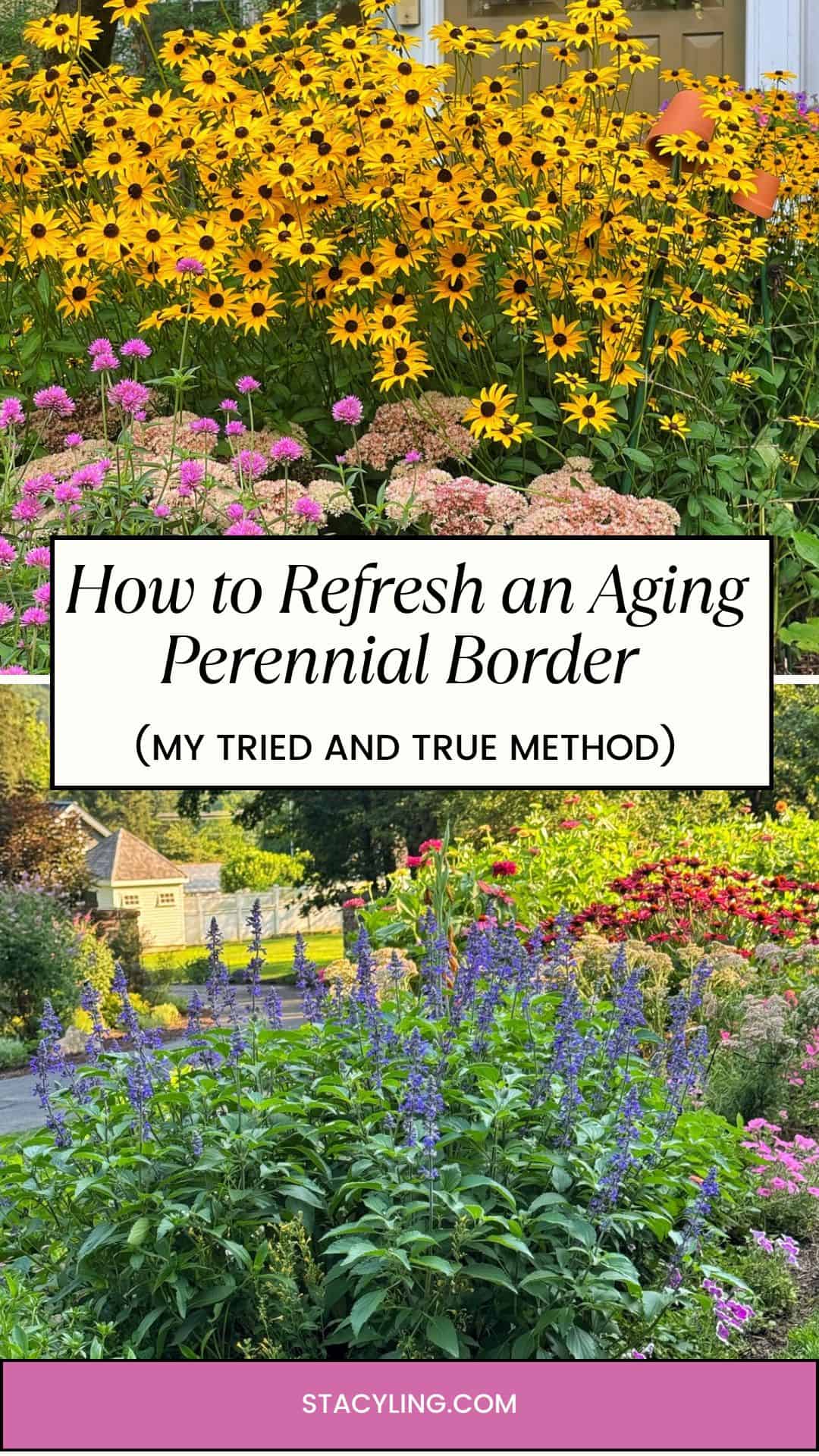 A vibrant perennial garden border with yellow, pink, and purple flowers in full bloom. Text overlay reads, "How to Refresh an Aging Perennial Border (My Tried and True Method).