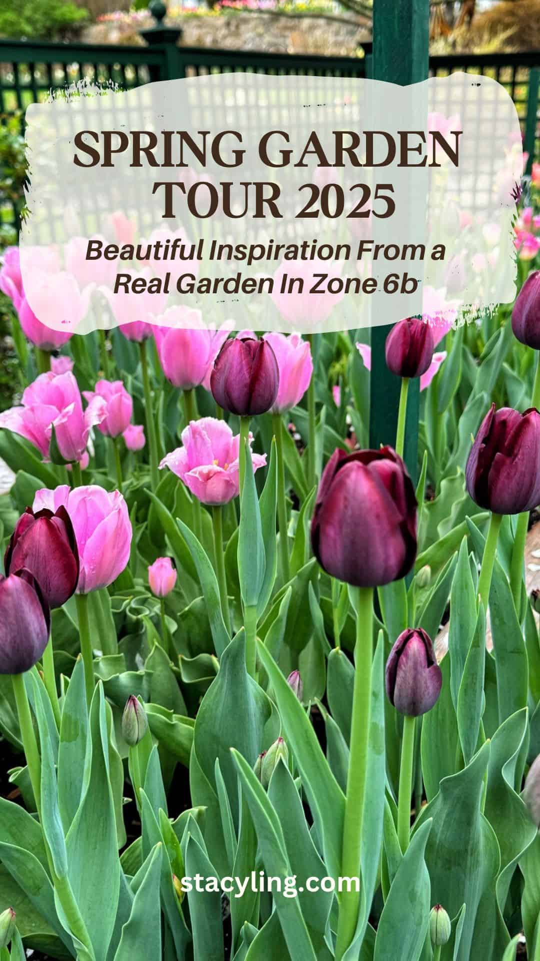 Purple and pink tulips bloom in a lush garden bed. Overlaid text reads: "Spring Garden Tour 2025 - Beautiful Inspiration From a Real Garden in Zone 6b." Website URL "stacyling.com" is shown at the bottom, inviting you to join the garden tour 2025.