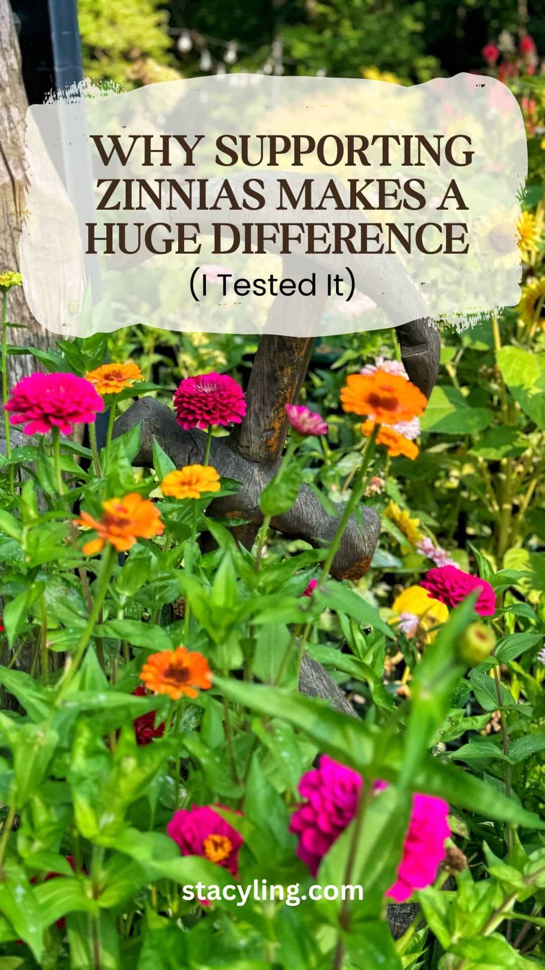 Vibrant pink, orange, and red zinnias bloom in a garden. Text above the flowers reads: &ldquo;Why supporting zinnias makes a huge difference (I tested it).&rdquo; Website &ldquo;stacyling.com&rdquo; appears at the bottom.