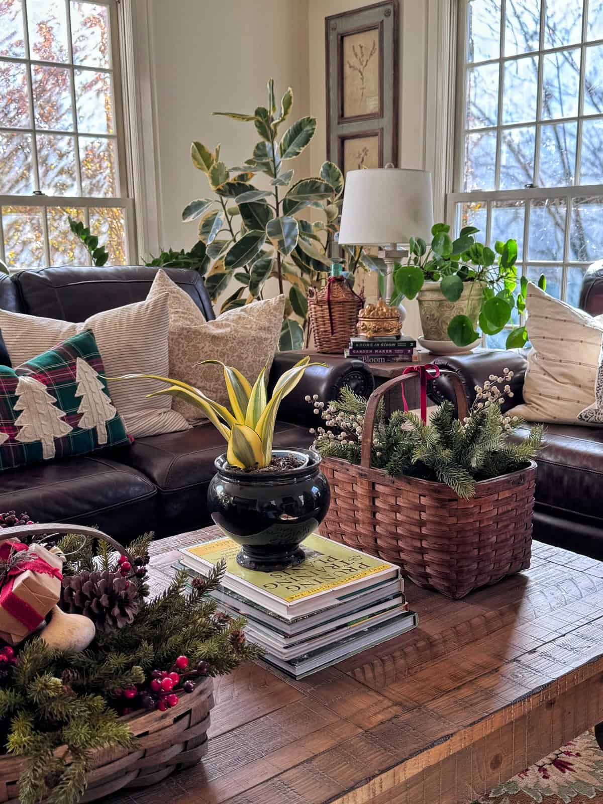 A cozy living room with leather sofas, holiday-themed pillows, potted plants, and baskets of greenery on a wooden coffee table stacked with books. Sunlight streams through large windows, highlighting the festive, homey decor.