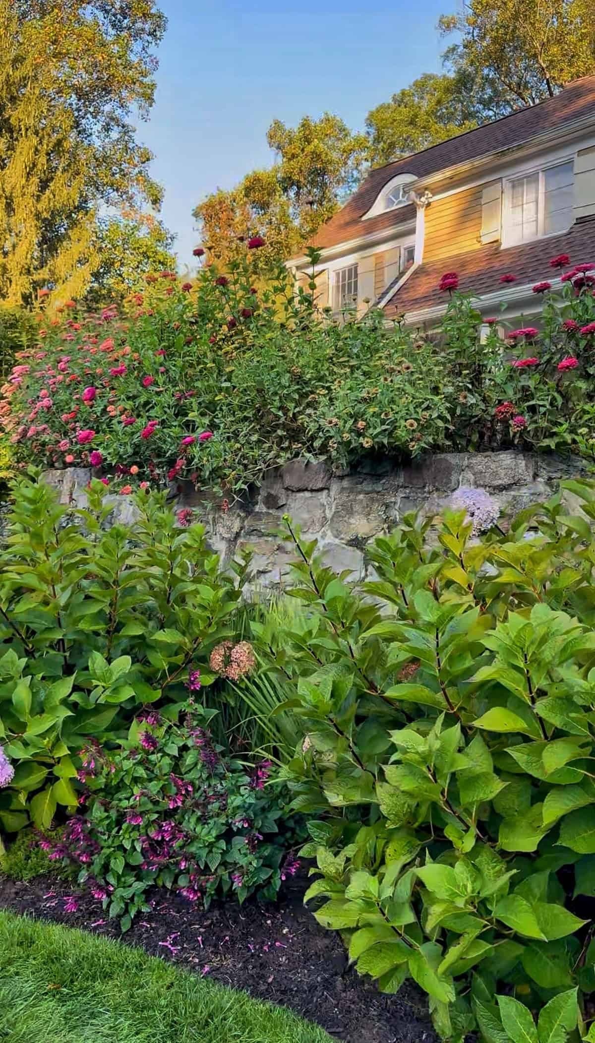 A lush garden with various green bushes and blooming pink and red flowers grows in front of a stone wall. Behind the wall, a house with beige siding and a sloped roof is visible among tall trees.
