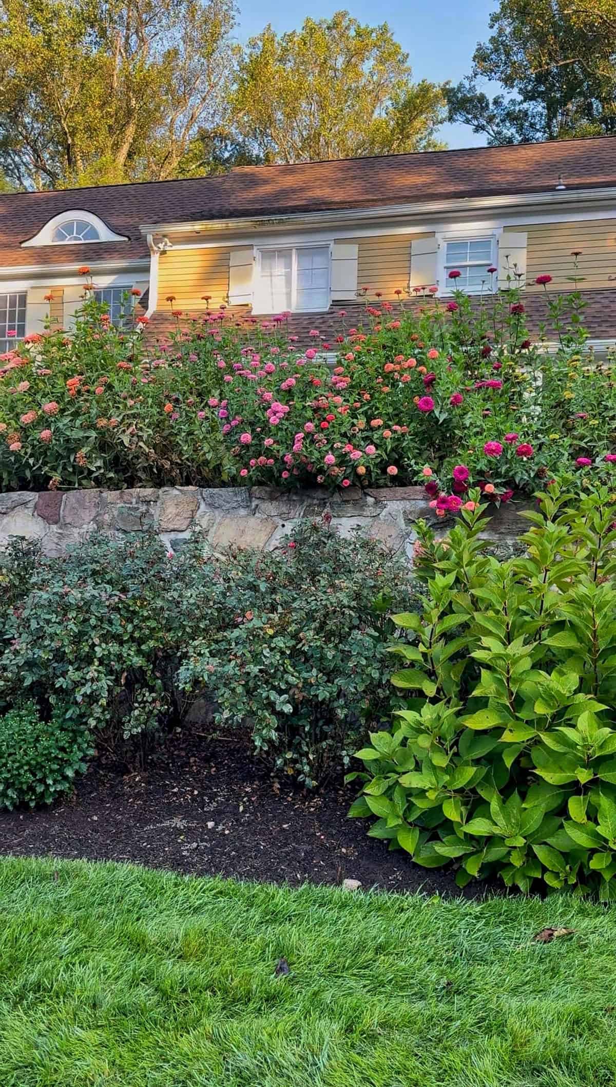 A garden with blooming pink, orange, and red flowers grows above a stone retaining wall, in front of a yellow house with white shutters and a brown roof. There are green shrubs and neatly trimmed grass in the foreground.
