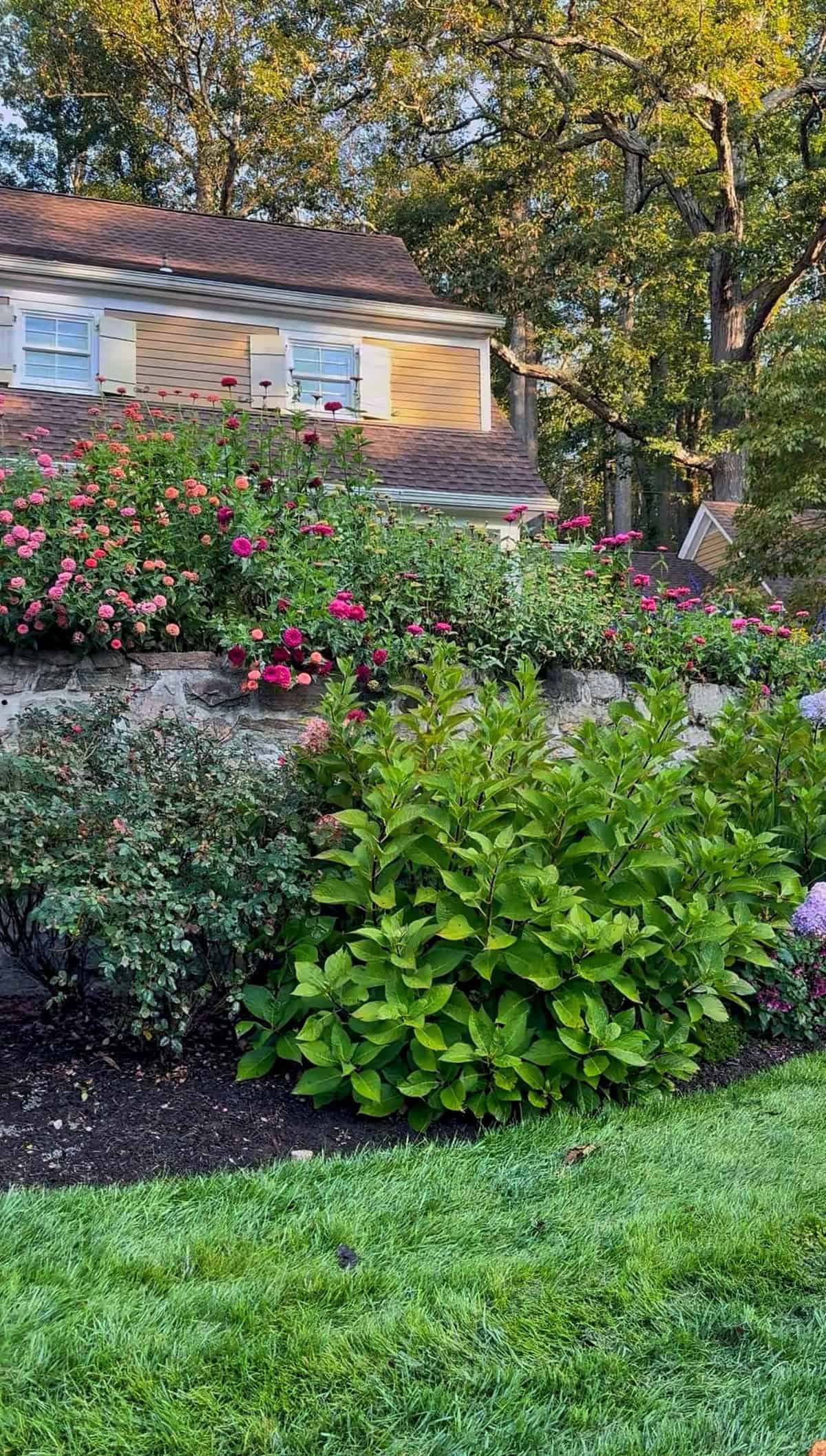 A lush garden with green bushes and blooming pink flowers sits in front of a stone wall, with a yellow house and trees in the background under a clear sky.