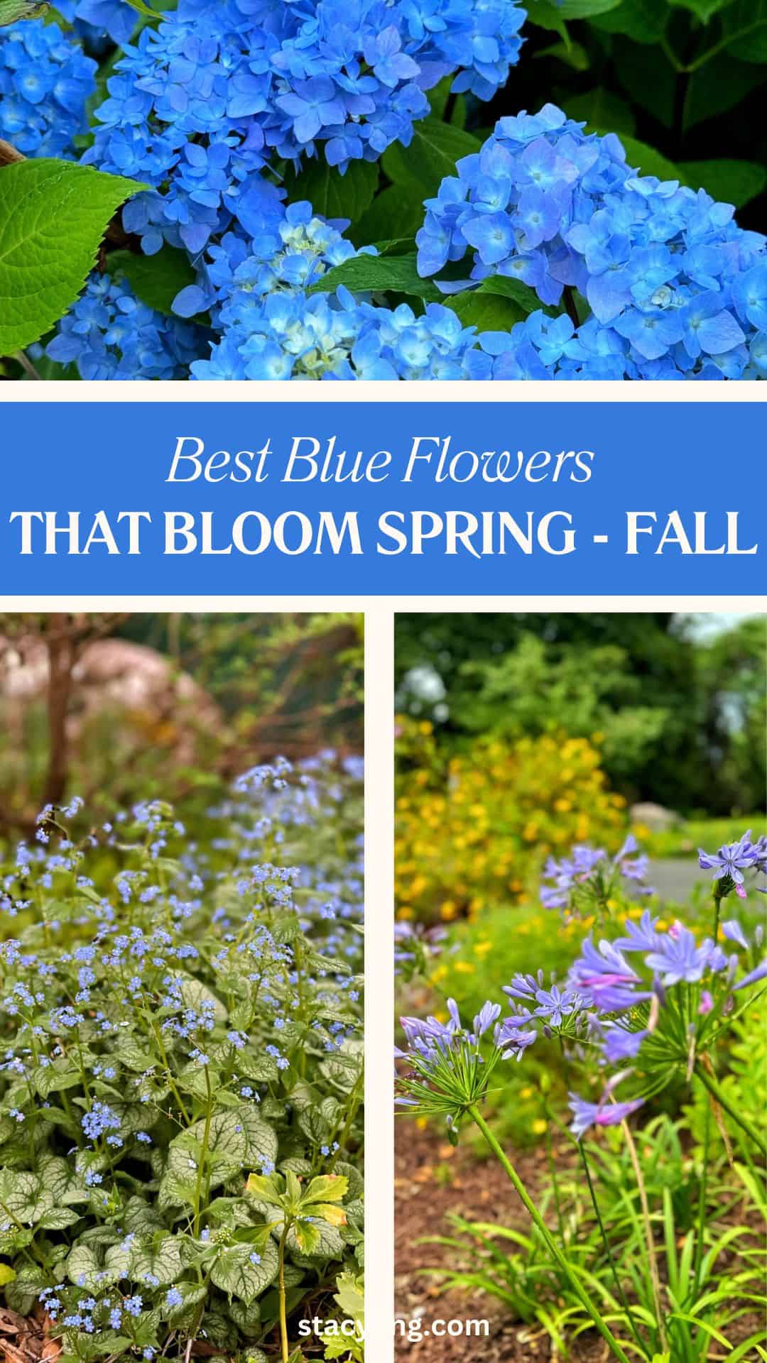 A collage of blue flowers, including hydrangeas and other varieties, with text that reads: "Best Blue Flowers That Bloom Spring - Fall." The flowers are blooming in garden settings.