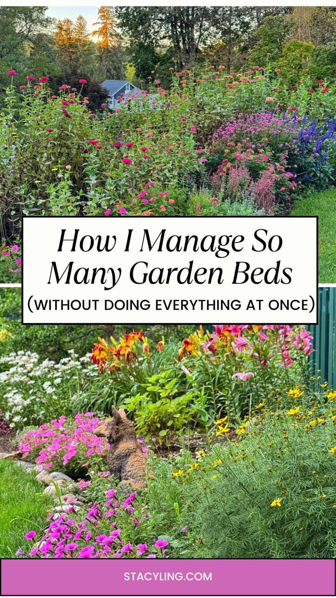 Two colorful garden beds filled with blooming flowers and green plants. A cat sits among the flowers. Text overlay reads: "How I Manage So Many Garden Beds (Without Doing Everything at Once) &ndash; tips for managing garden beds efficiently.