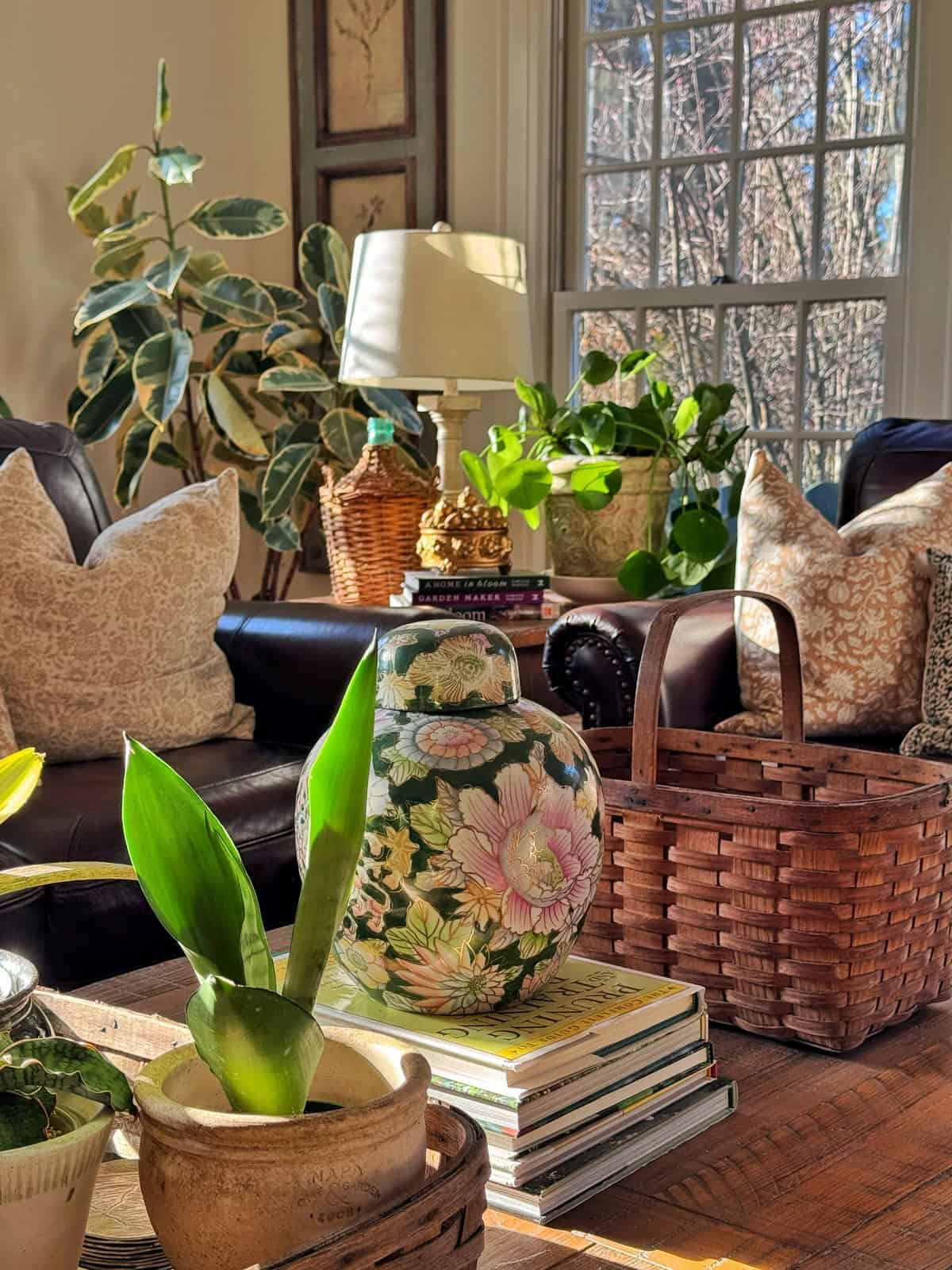 A sunlit living room with brown leather chairs, patterned pillows, leafy houseplants, a floral vase on stacked books, woven baskets, and a window showing trees outside. Warm light fills the cozy, inviting space.