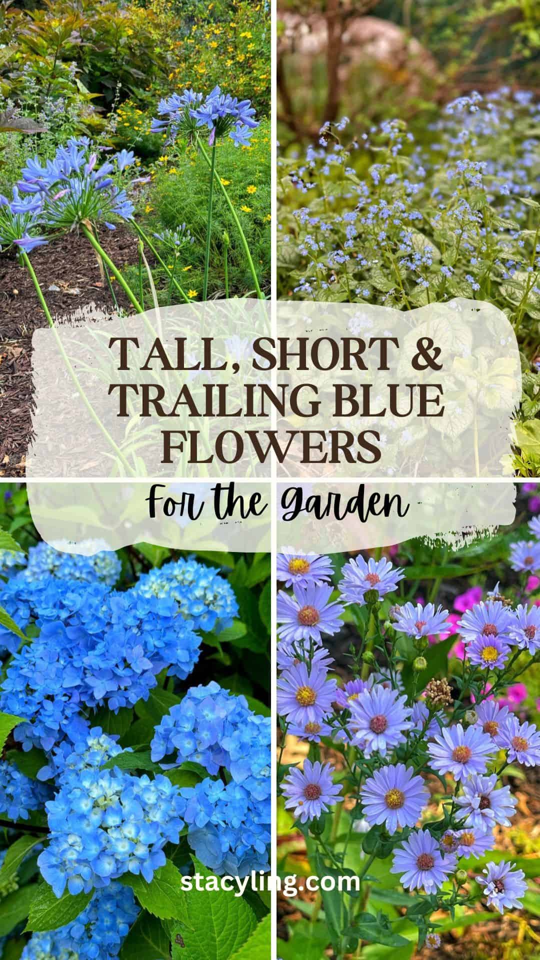 Collage of various blue flowers, including agapanthus, hydrangeas, asters, and other garden blooms, with text overlay reading &ldquo;Tall, Short & Trailing Blue Flowers for the Garden.&rdquo;.