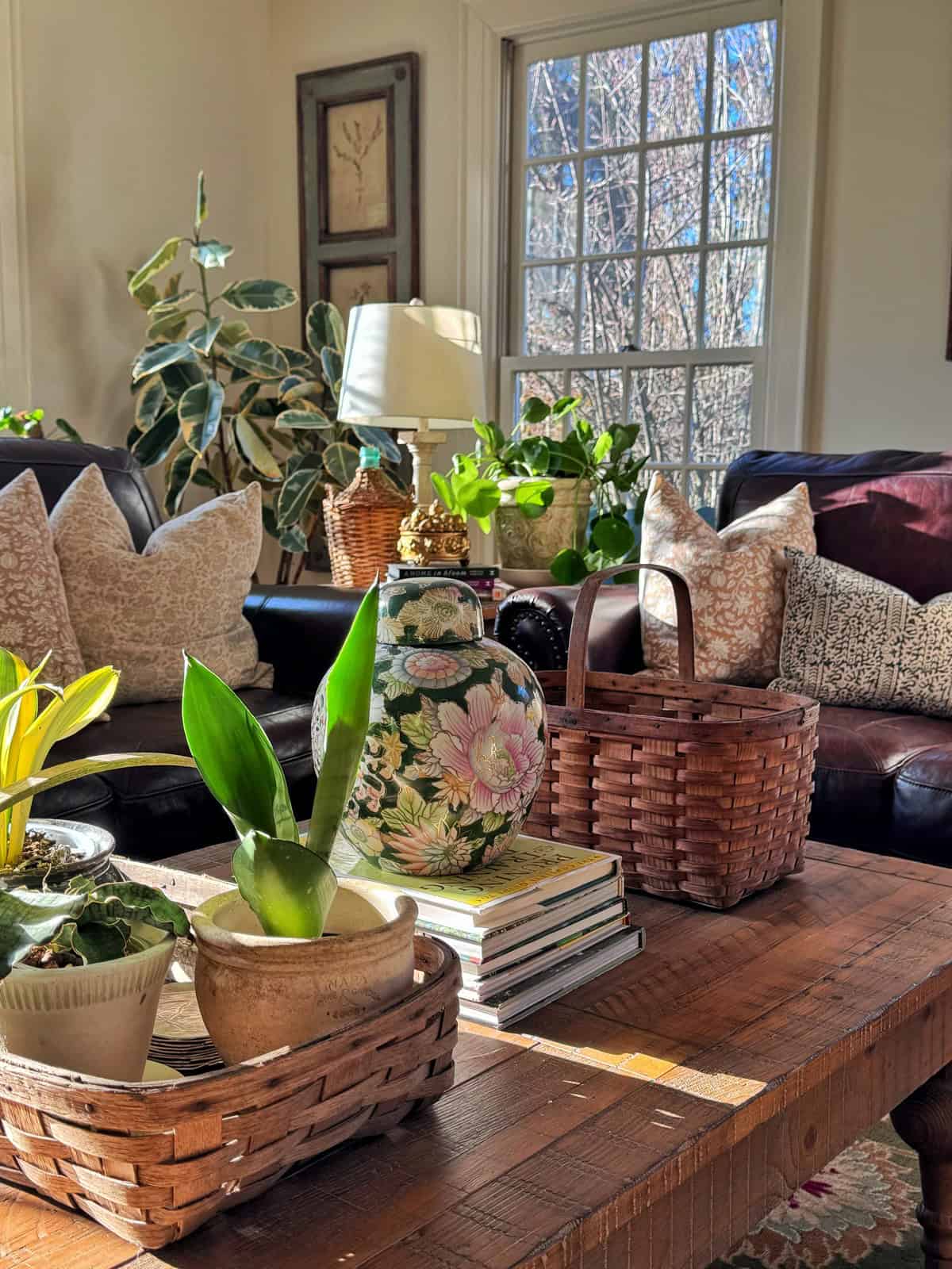 A sunlit living room with a wooden coffee table holding potted plants, a decorative floral vase, stacked books, and woven baskets. Cushioned sofas and lush greenery surround the bright window.