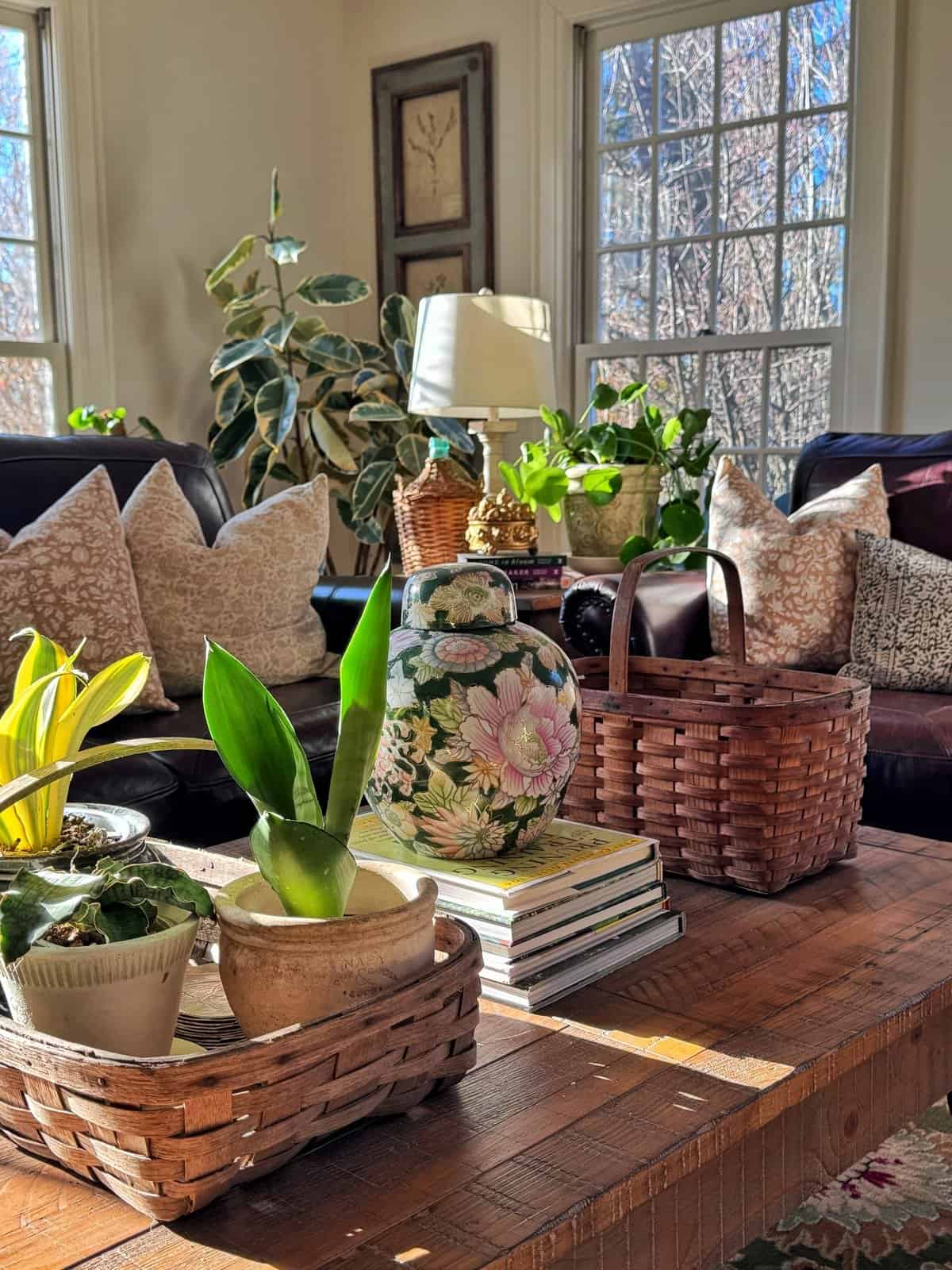 A cozy, sunlit living room features a wooden coffee table with potted plants, a floral vase, and wicker baskets. Cushioned sofas with patterned pillows and houseplants are in the background near large windows.