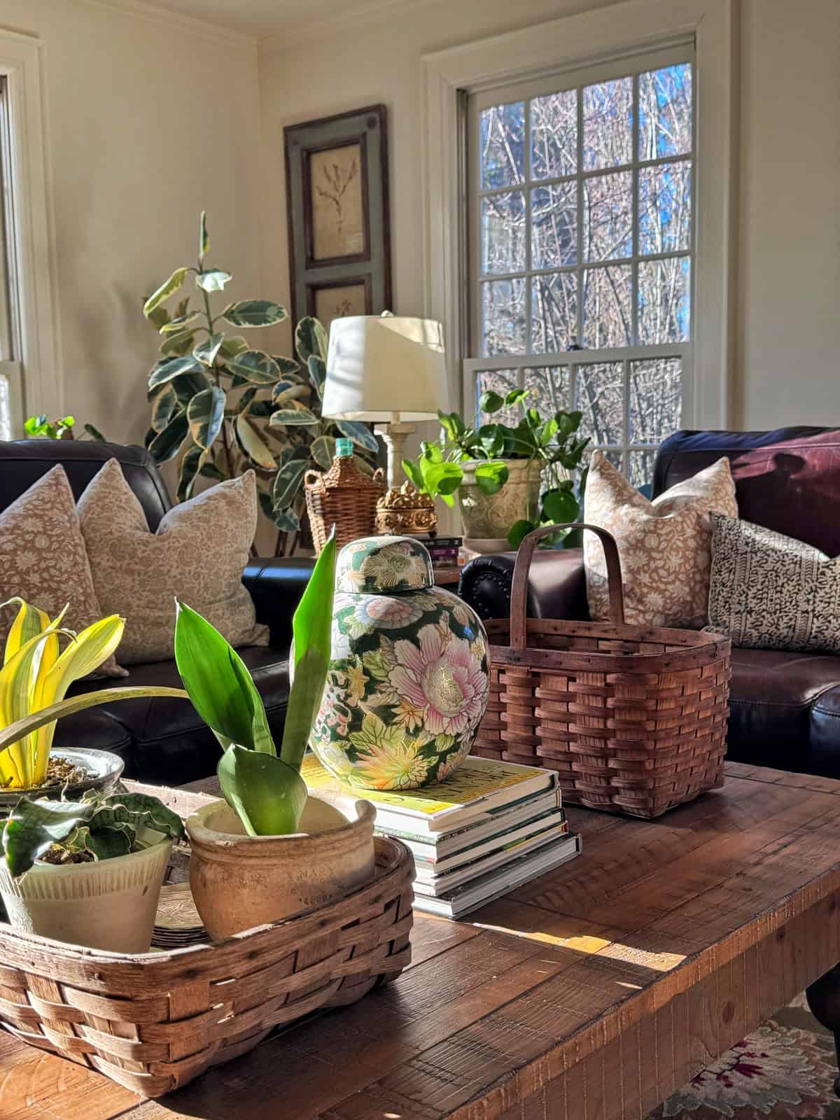 Sunlight streams into a cozy living room with potted plants, wicker baskets, patterned pillows, and a floral ceramic vase arranged on a wooden coffee table, creating a warm and inviting atmosphere.