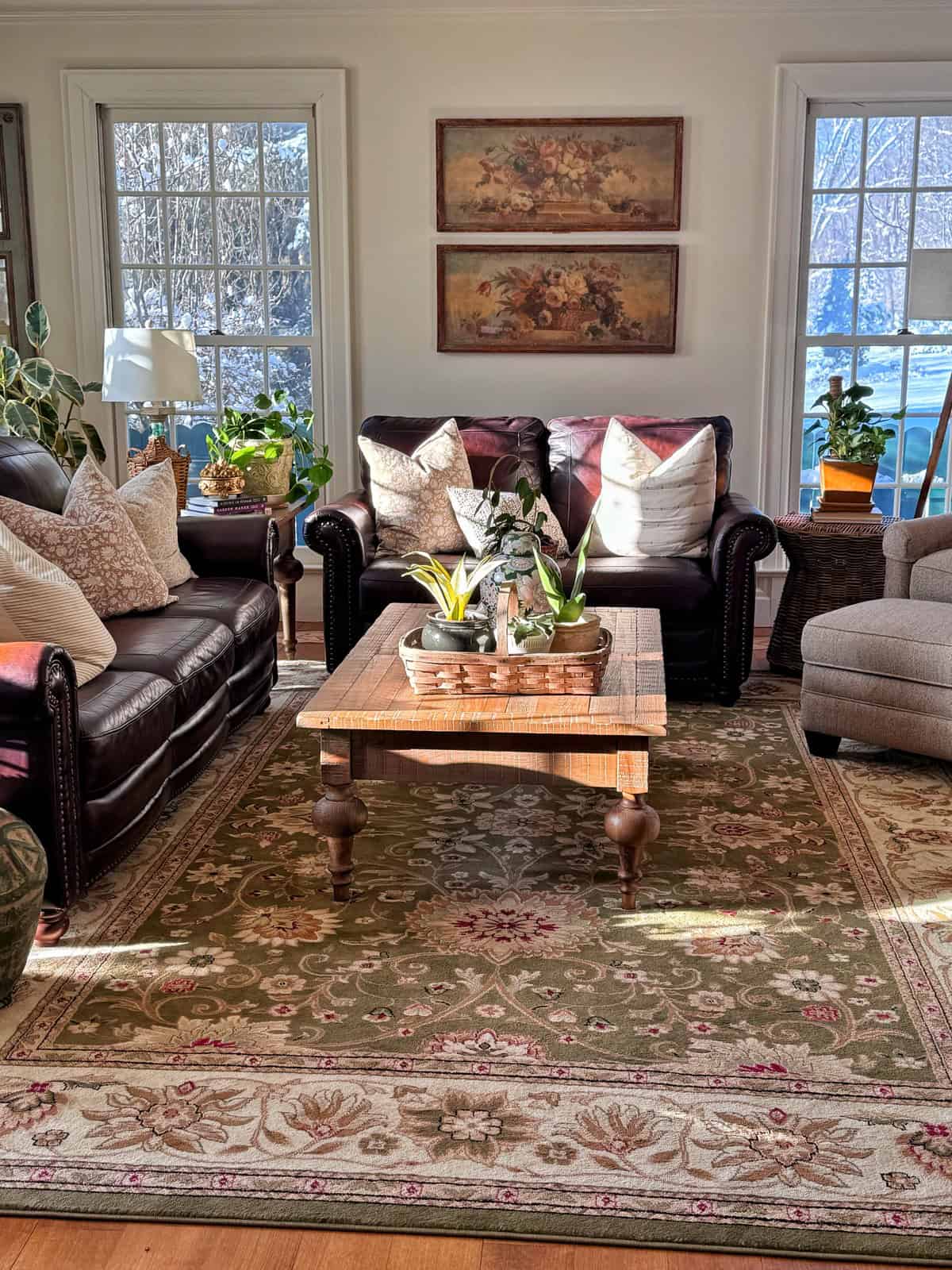 Sunlit living room with dark leather sofas, beige armchair, wooden coffee table with potted plants, patterned rug, throw pillows, indoor plants, and two floral paintings on the wall above the main sofa.