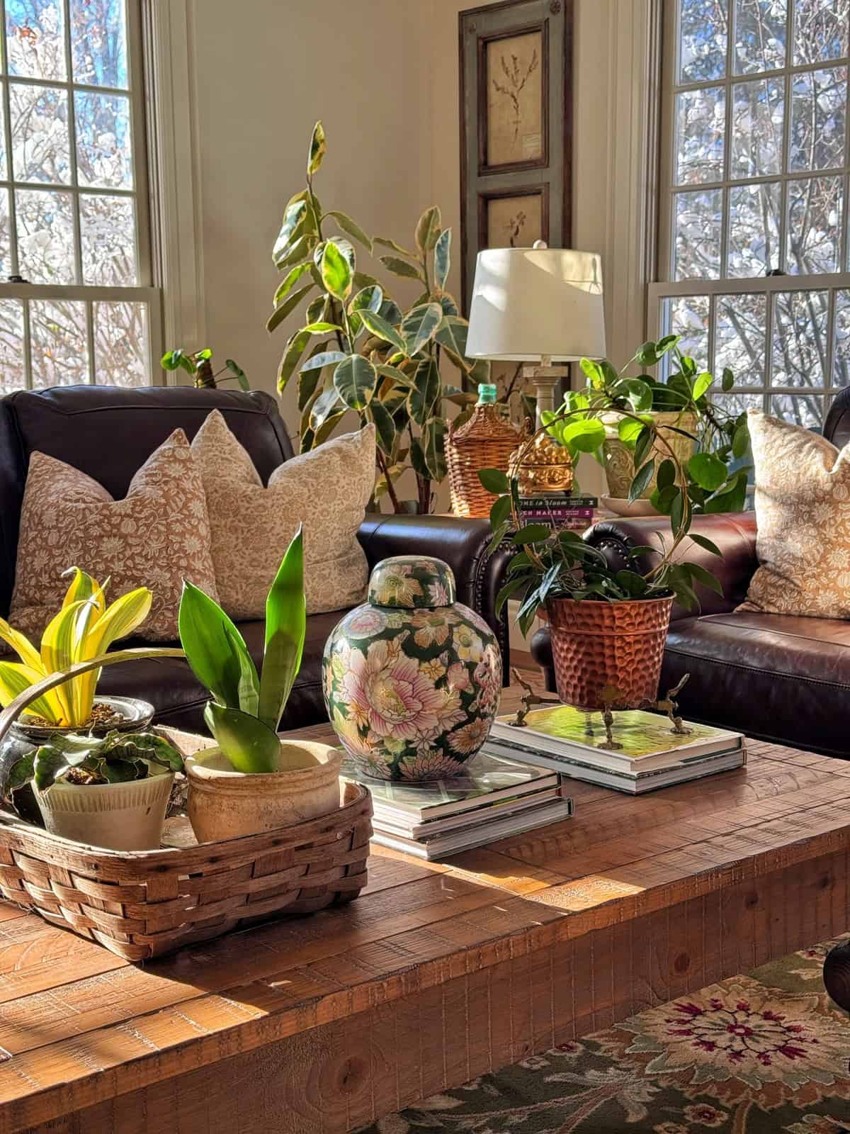 Sunlit living room with brown leather sofas, cream pillows, and many potted plants. A wooden coffee table holds books, a floral vase, and a basket with small plants. Large windows let in natural light.