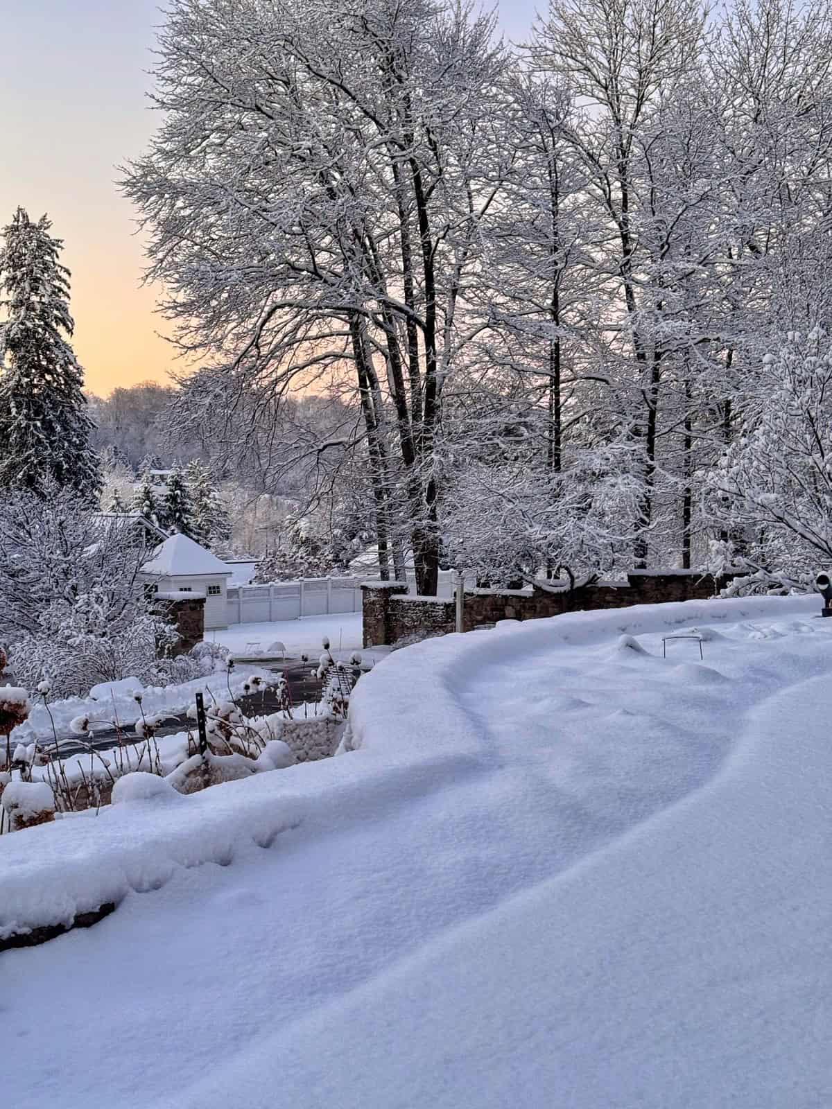 A snow covered yard with trees and a house.