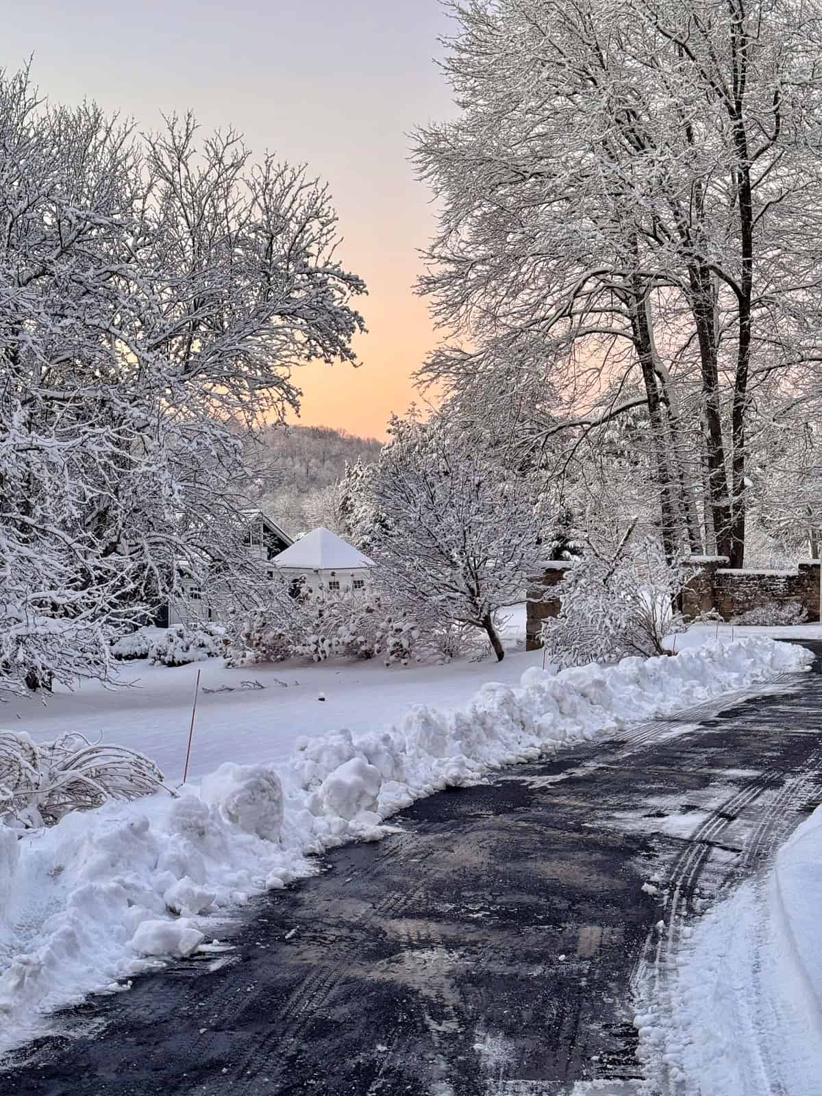 A paved road curves through a snowy landscape with large trees and bushes covered in snow. Snow is piled along the roadside, and the sky glows softly with pastel colors at sunset.