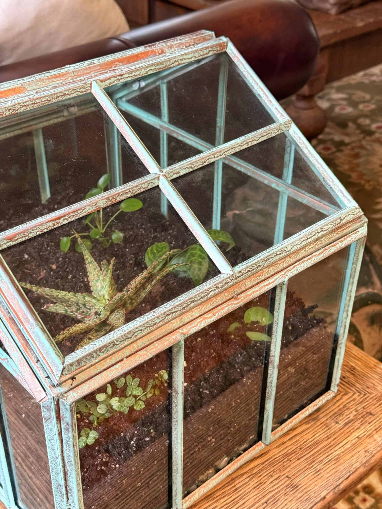 Terrarium Tutorial How to Make a Terrarium: A Beginner’s Step-by-Step Guide | Bricks ’n ...
