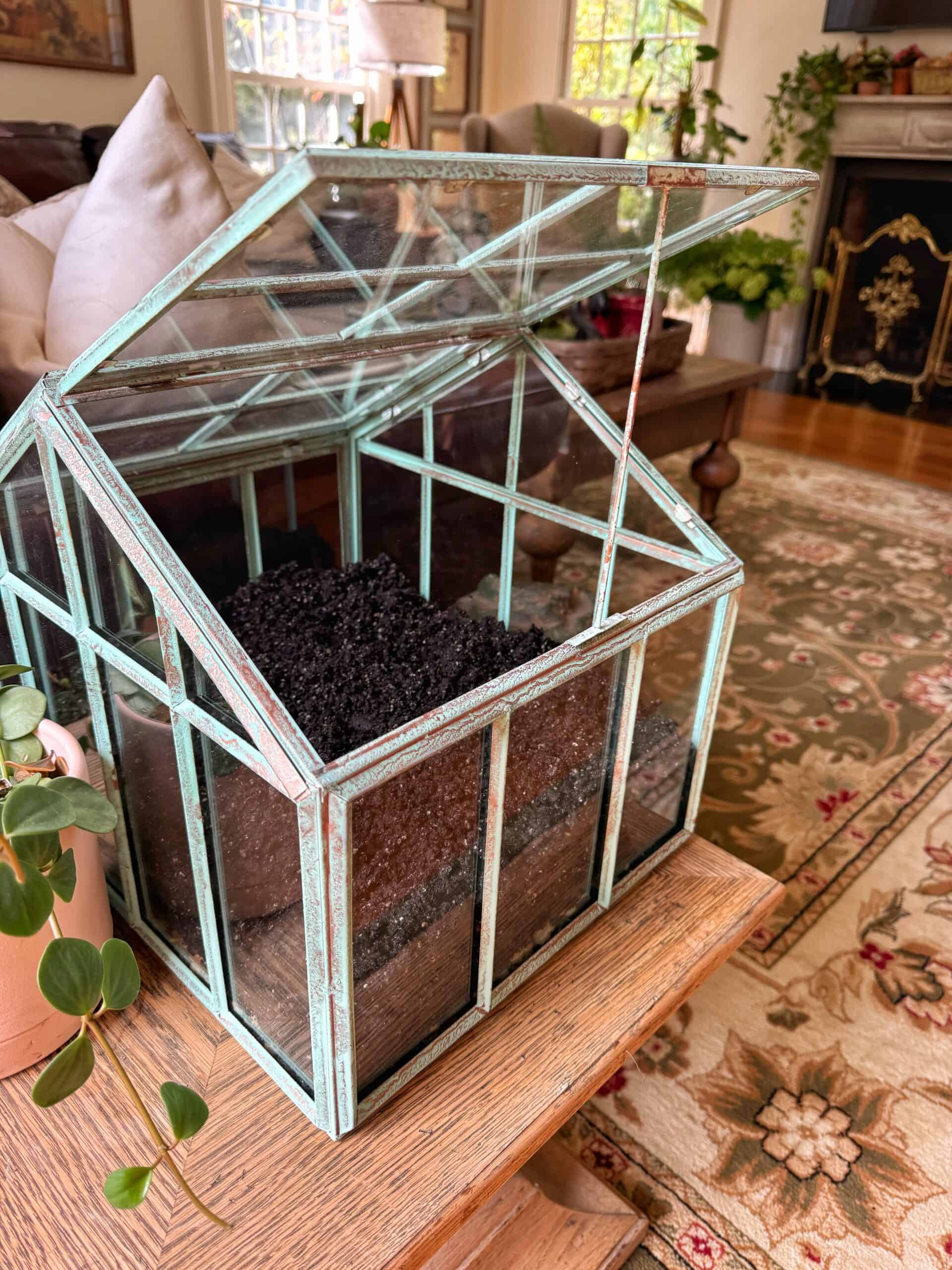 A glass and metal tabletop greenhouse with soil inside sits on a wooden table in a cozy, sunlit living room with plants, a rug, and a fireplace in the background.