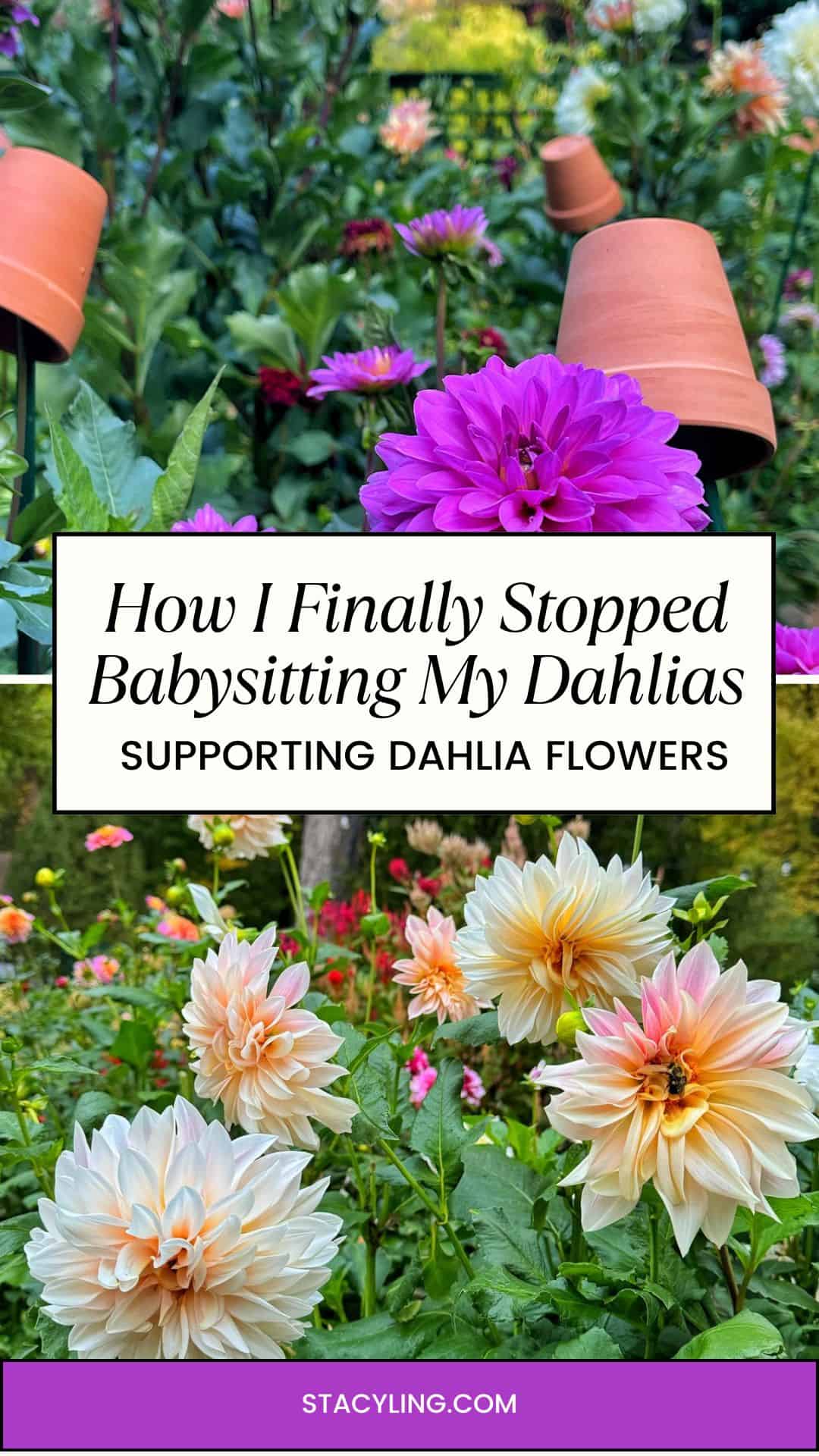 Colorful dahlias bloom in a lush garden with clay pots covering some plants. Text overlay reads, "How I Finally Stopped Babysitting My Dahlias &ndash; Supporting Dahlias for Healthier Blooms.