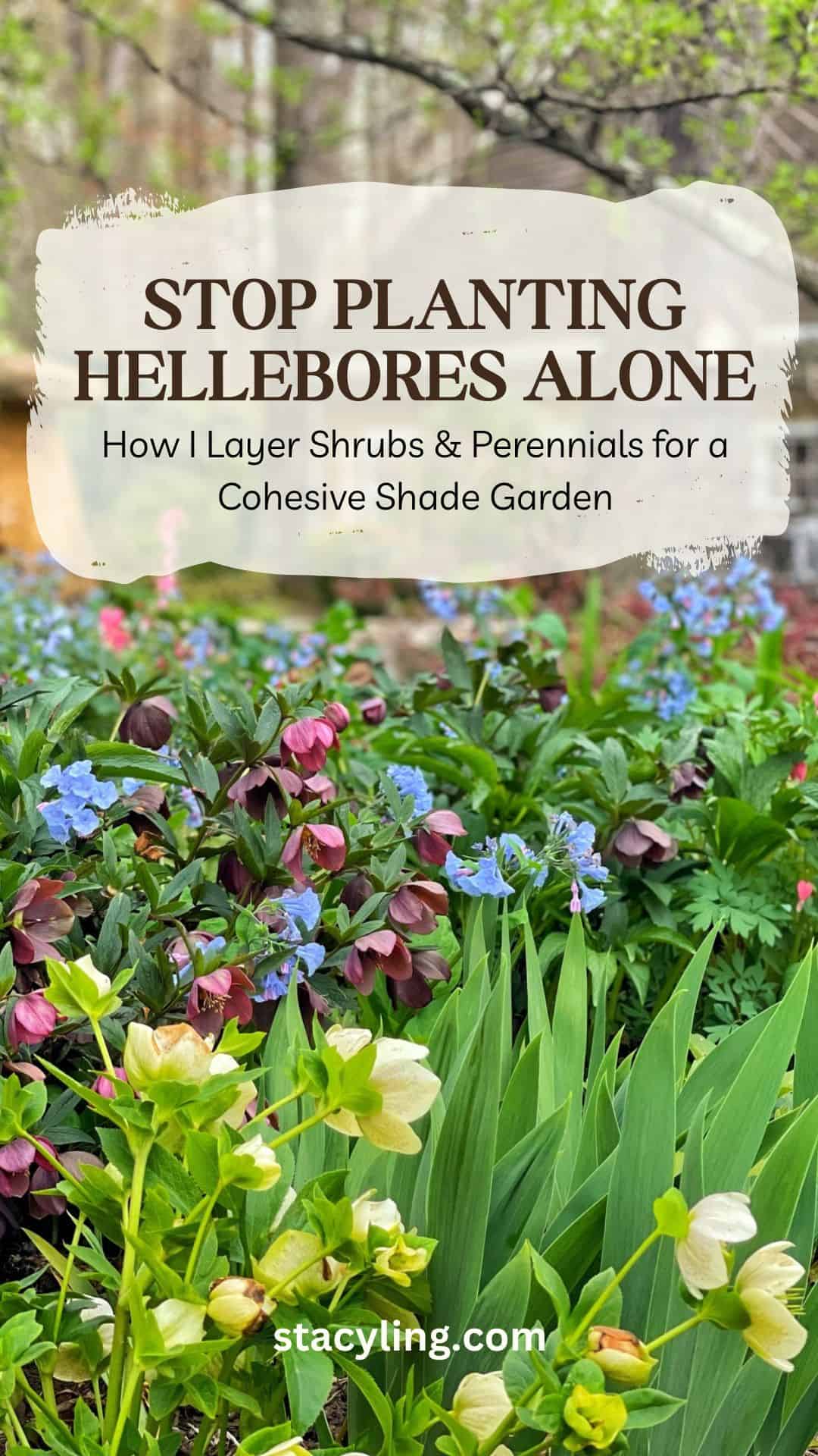 A lush garden with blooming hellebores, blue and pink flowers, and green foliage. Text overlay reads: "Stop planting hellebores alone—my shade garden design with hellebores layers shrubs & perennials for a cohesive look.