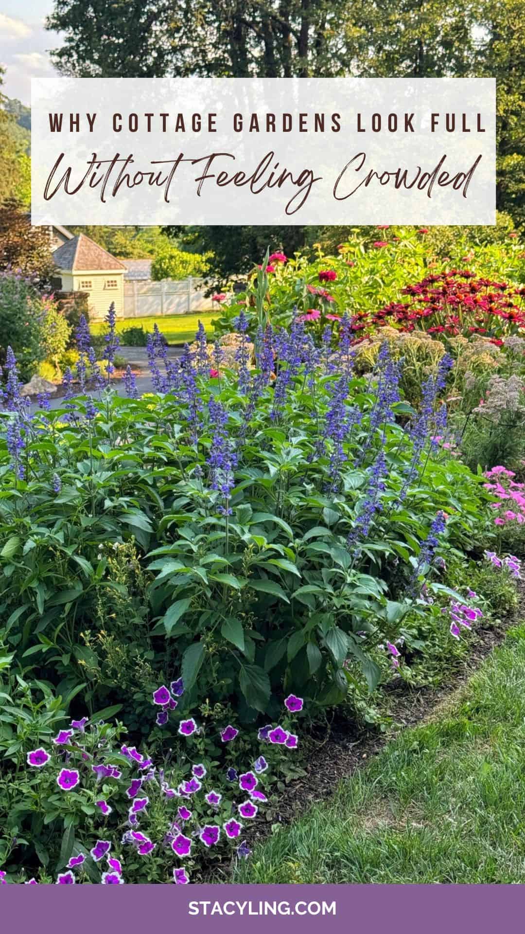 A lush cottage garden with vibrant purple, pink, and red flowers, bordered by a neat lawn, sits beneath a sign that reveals why cottage gardens look full yet never crowded.