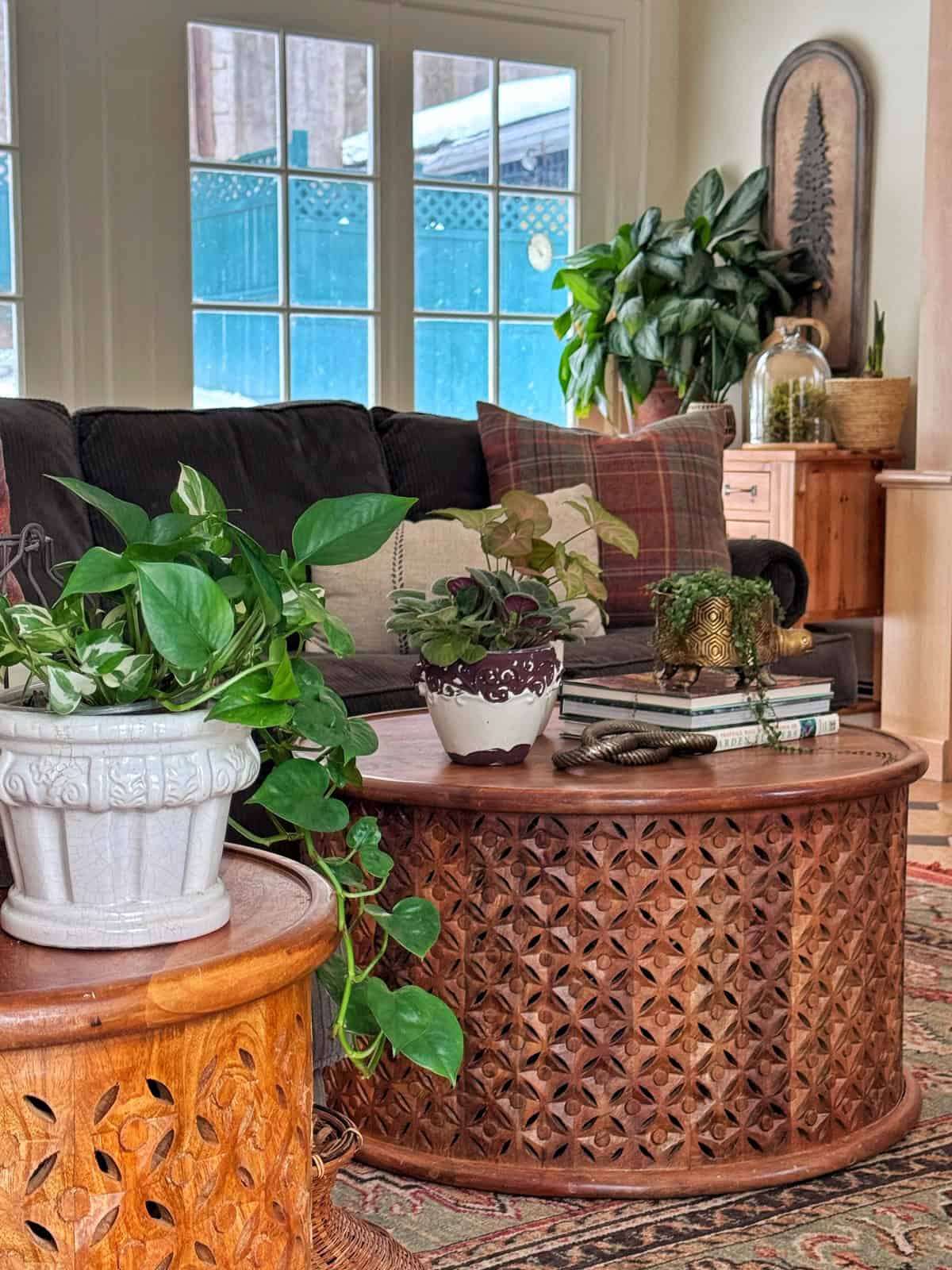 A cozy living room with a carved wooden coffee table, potted houseplants, books, and a dark sofa with plaid pillows. Large windows let in natural light and a patterned rug covers the floor.