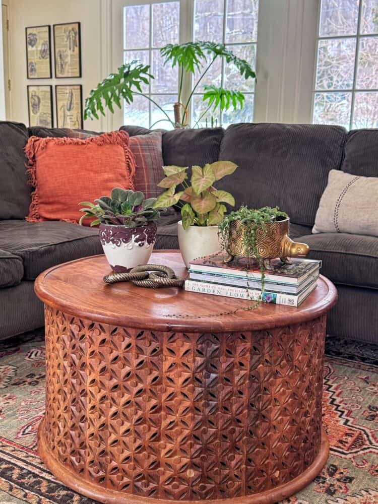 A round carved wooden coffee table with potted plants, a decorative cup, and stacked books sits in front of a dark sofa with colorful pillows in a cozy living room with large windows.